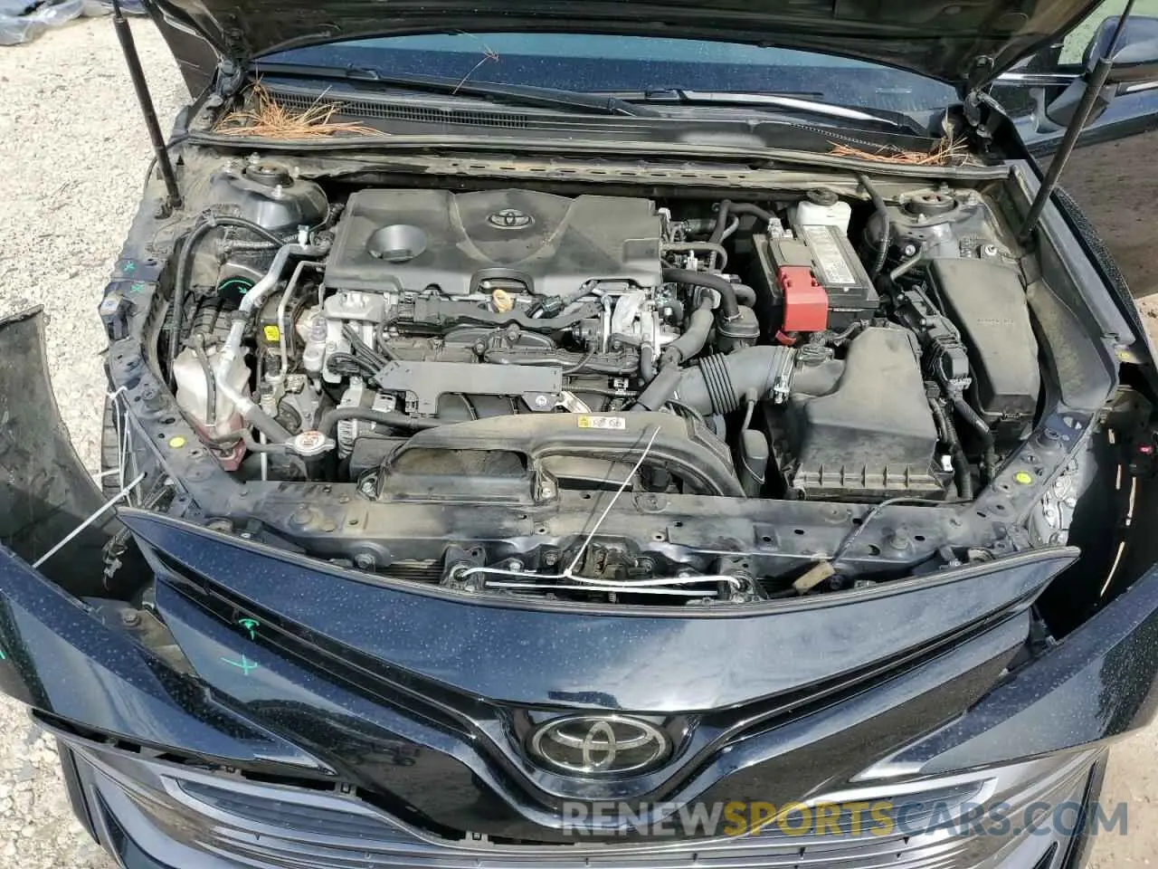 11 fotografías del automóvil dañado 4T1B11HK8KU295096 TOYOTA CAMRY 2019