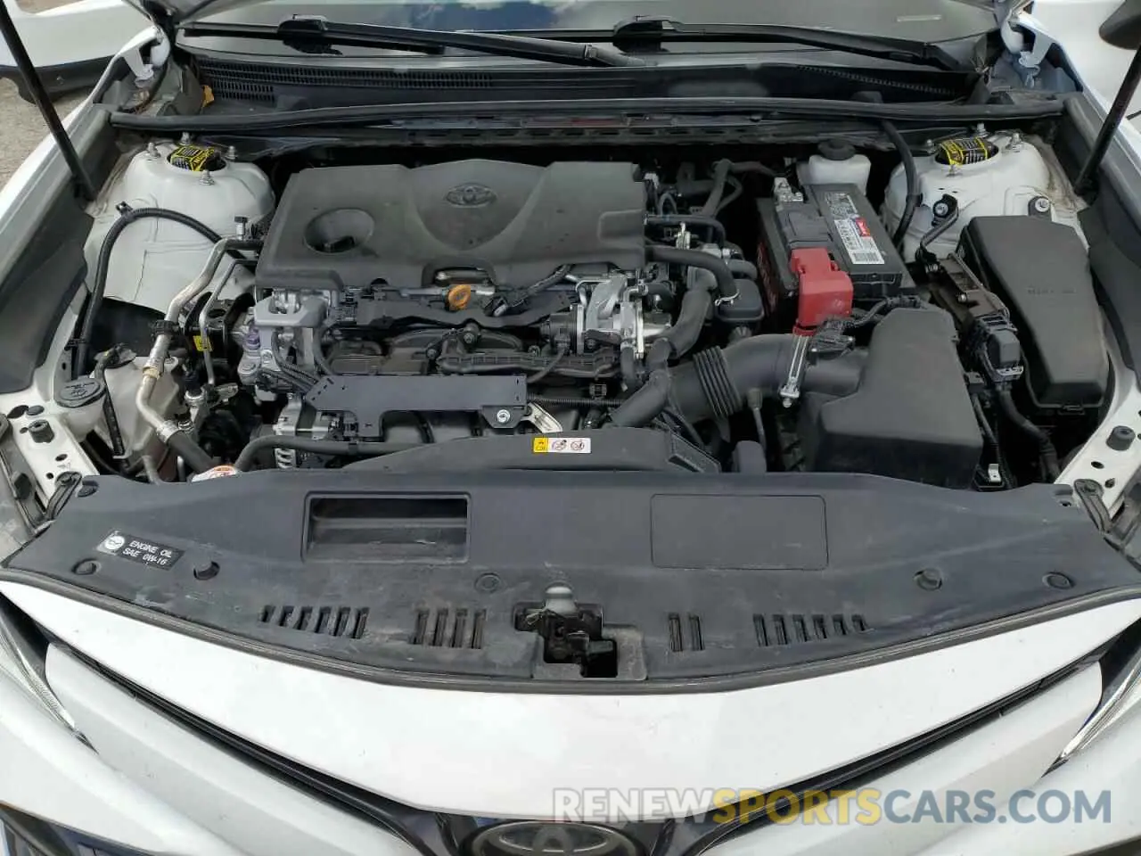 11 fotografías del automóvil dañado 4T1B11HK8KU699743 TOYOTA CAMRY 2019