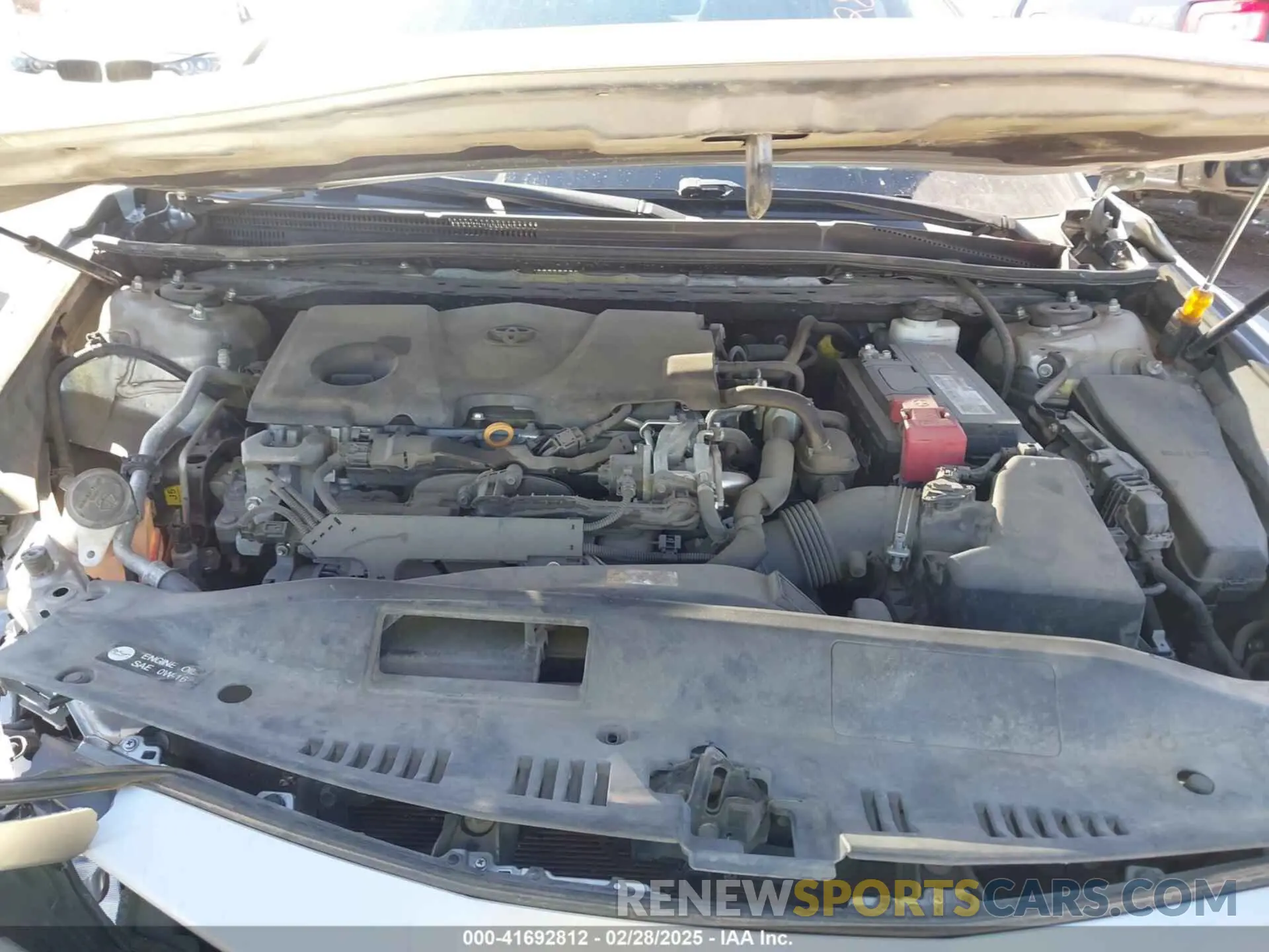 10 fotografías del automóvil dañado 4T1B11HK8KU707419 TOYOTA CAMRY 2019