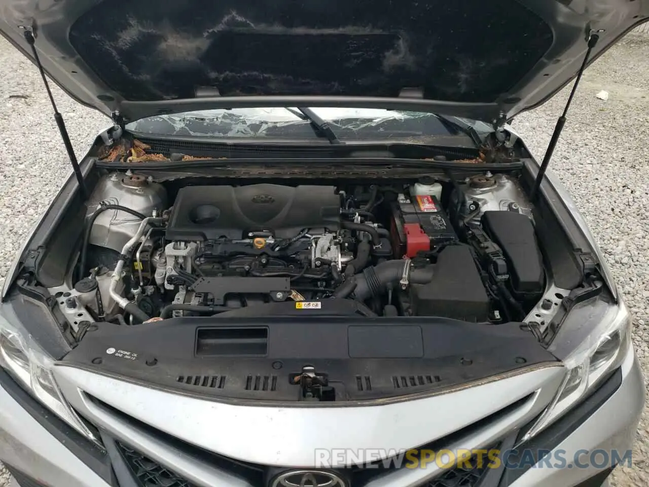 11 fotografías del automóvil dañado 4T1B11HK8KU730019 TOYOTA CAMRY 2019
