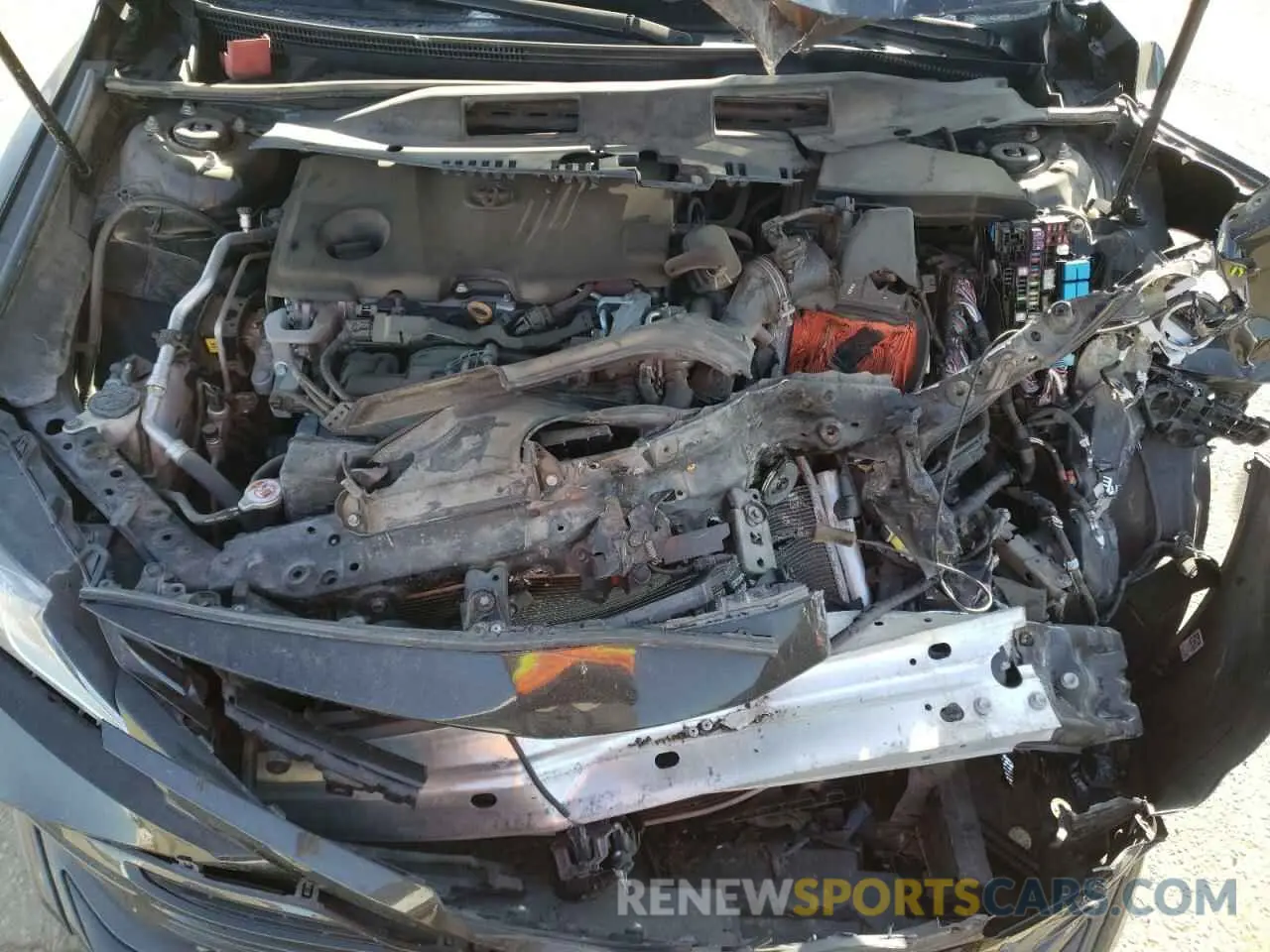 11 fotografías del automóvil dañado 4T1B11HK8KU730750 TOYOTA CAMRY 2019