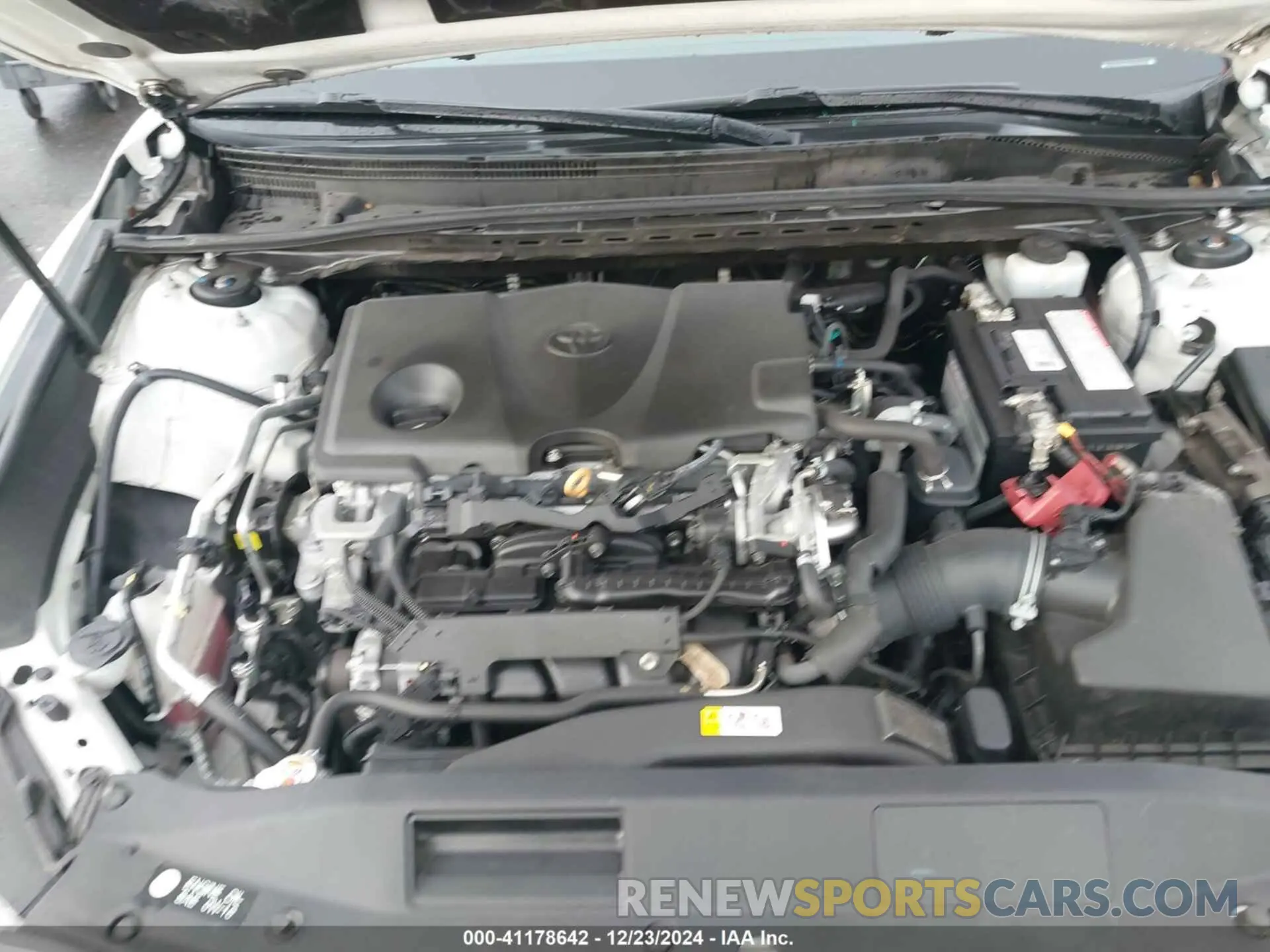 10 fotografías del automóvil dañado 4T1B11HK8KU731283 TOYOTA CAMRY 2019