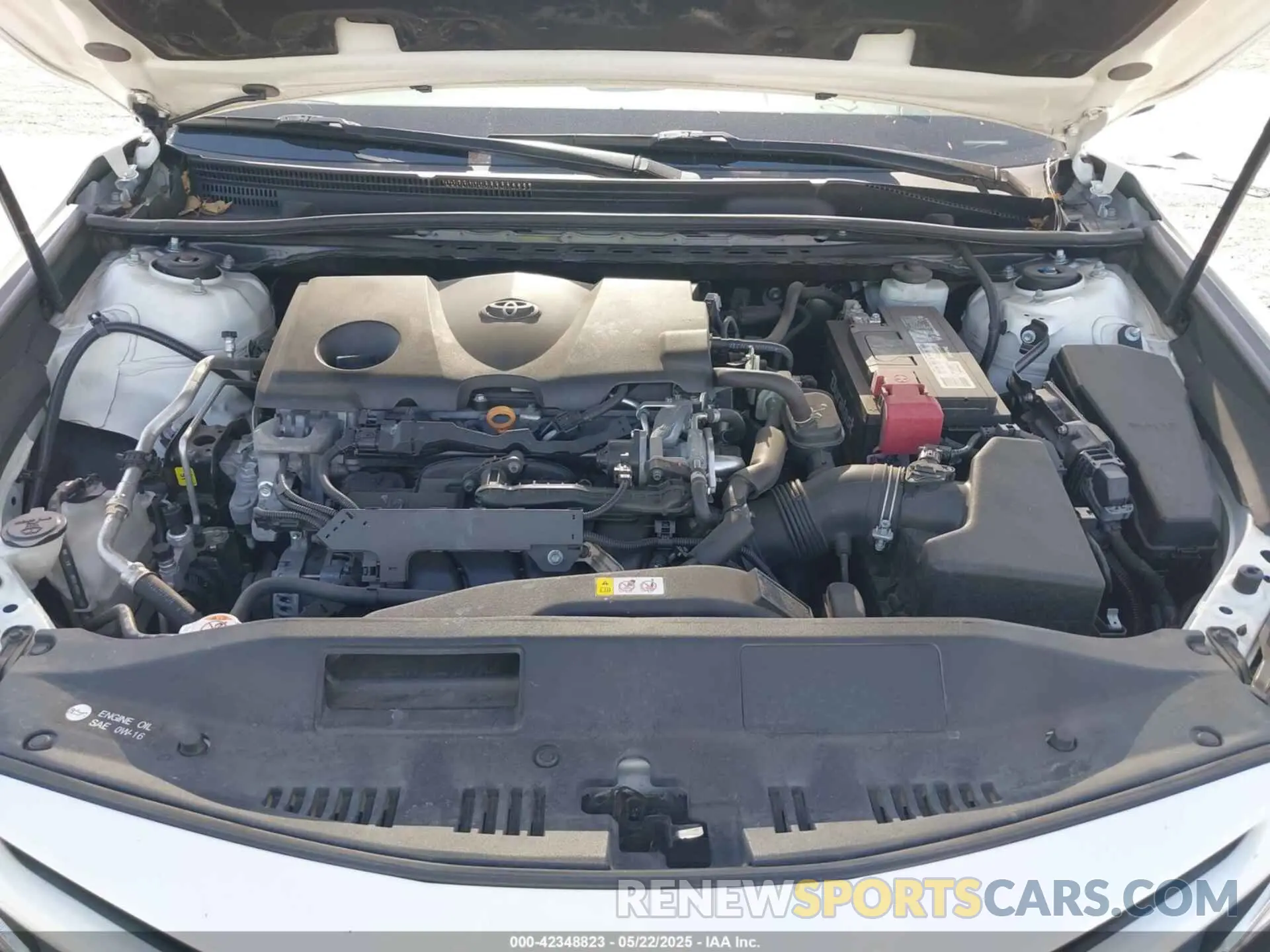 10 fotografías del automóvil dañado 4T1B11HK8KU741053 TOYOTA CAMRY 2019