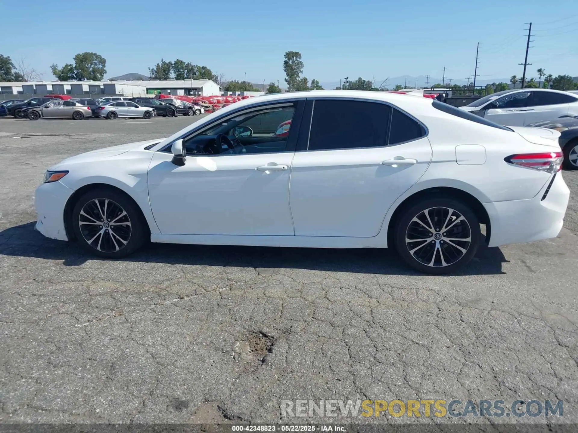 14 fotografías del automóvil dañado 4T1B11HK8KU741053 TOYOTA CAMRY 2019