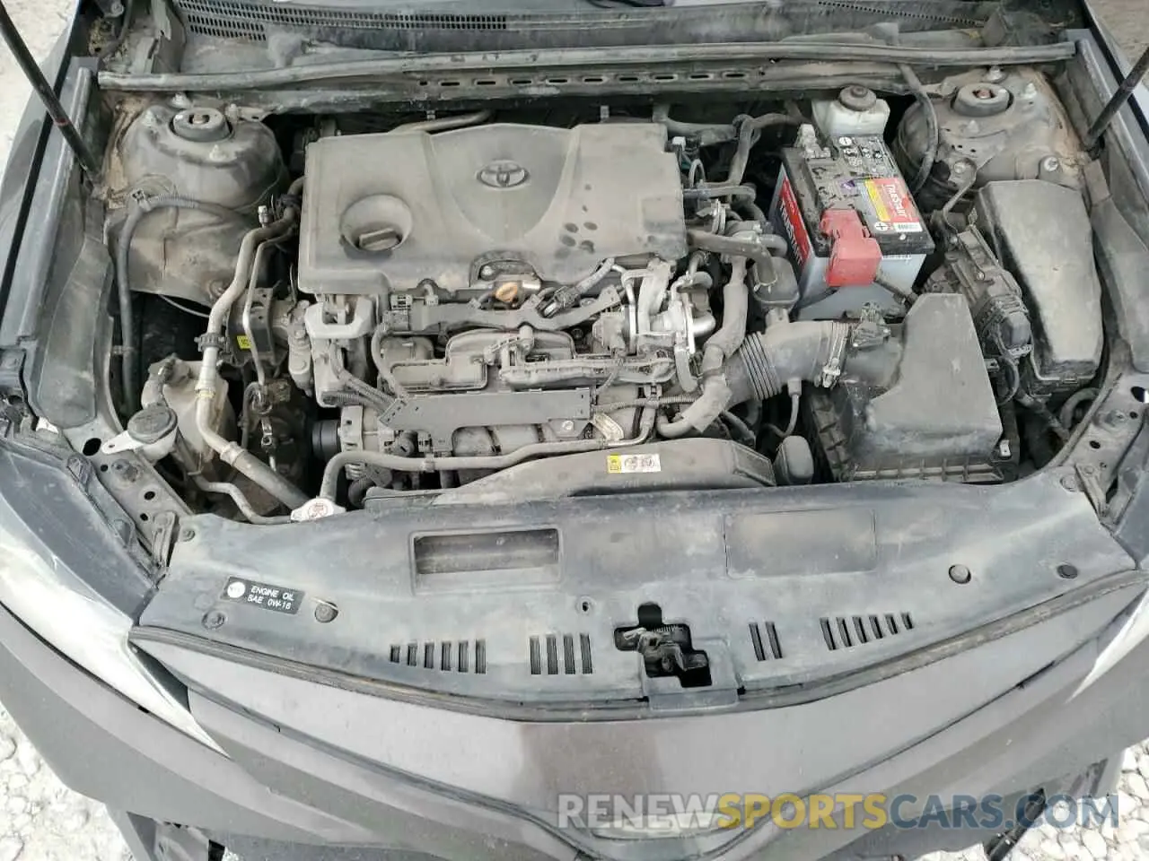 11 fotografías del automóvil dañado 4T1B11HK8KU754434 TOYOTA CAMRY 2019