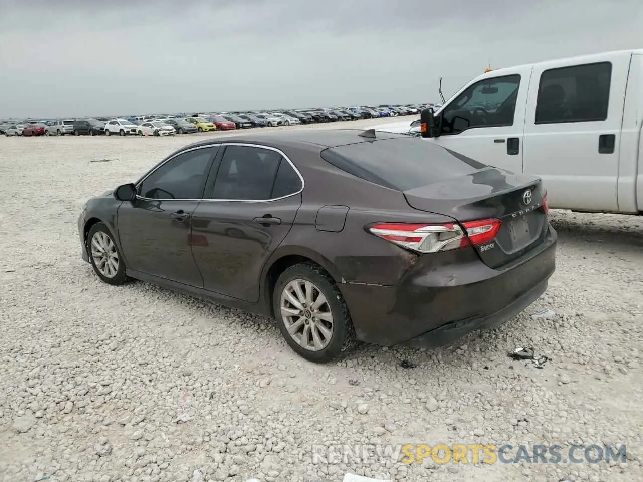 2 fotografías del automóvil dañado 4T1B11HK8KU754434 TOYOTA CAMRY 2019
