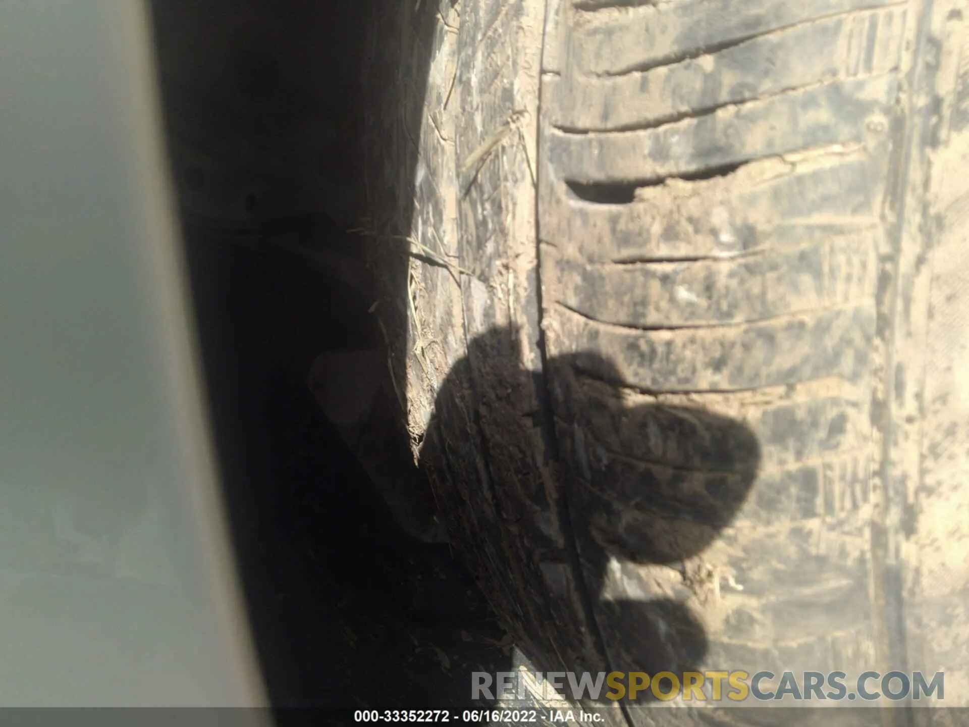 12 fotografías del automóvil dañado 4T1B11HK8KU779222 TOYOTA CAMRY 2019