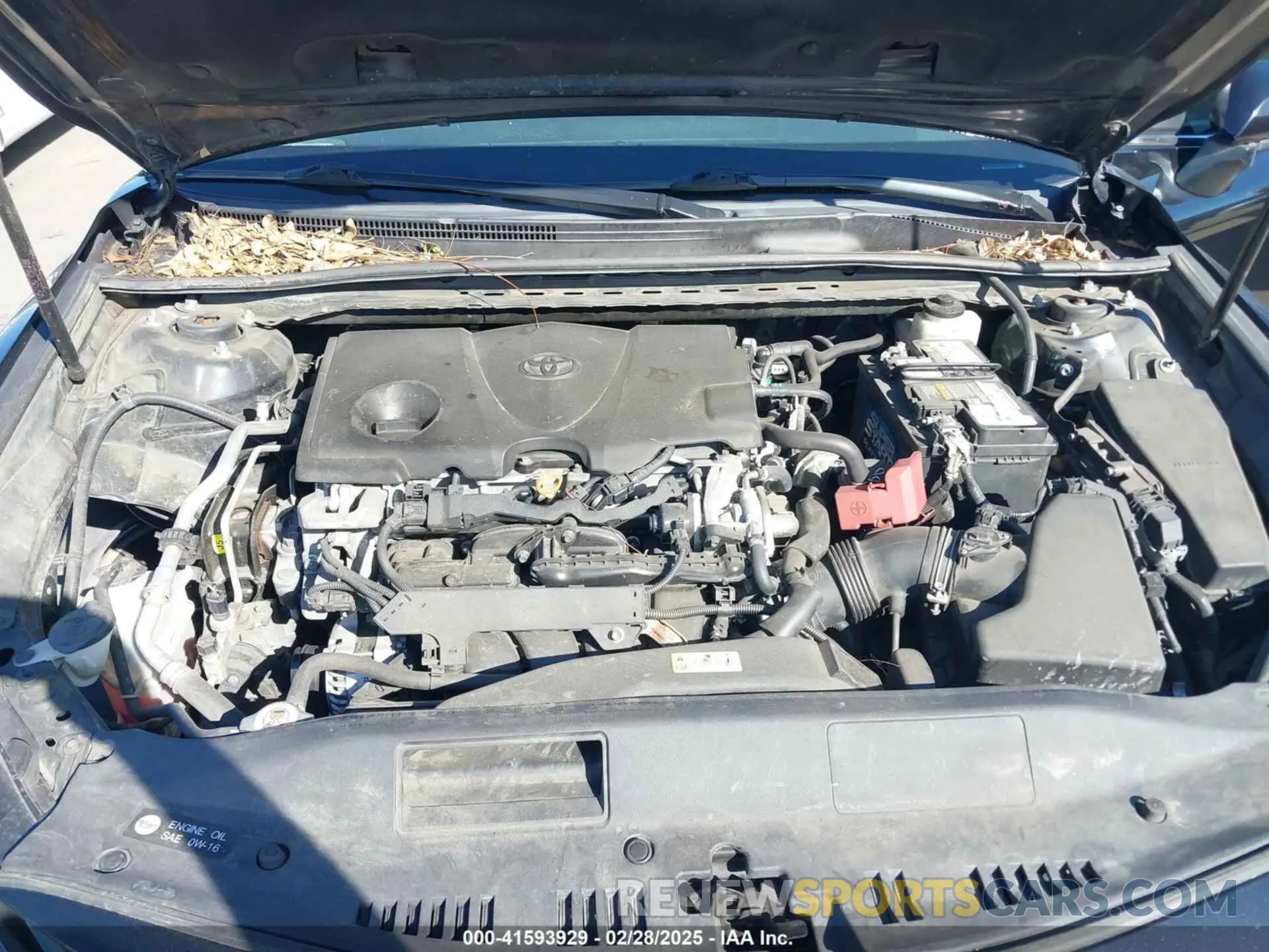 10 fotografías del automóvil dañado 4T1B11HK8KU793850 TOYOTA CAMRY 2019