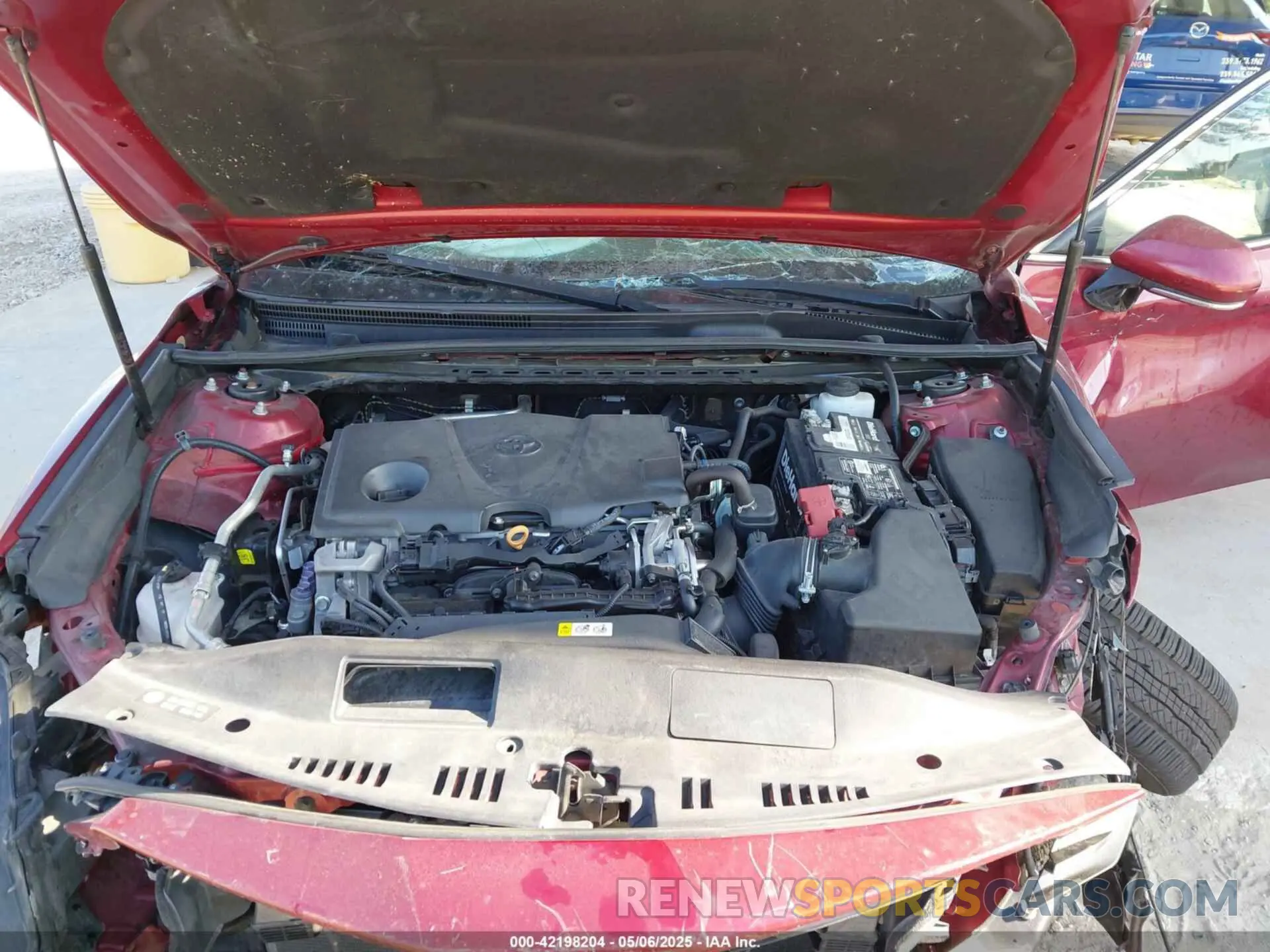 10 fotografías del automóvil dañado 4T1B11HK8KU804619 TOYOTA CAMRY 2019