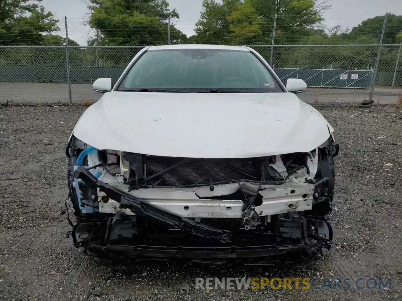 5 fotografías del automóvil dañado 4T1B11HK8KU814485 TOYOTA CAMRY 2019