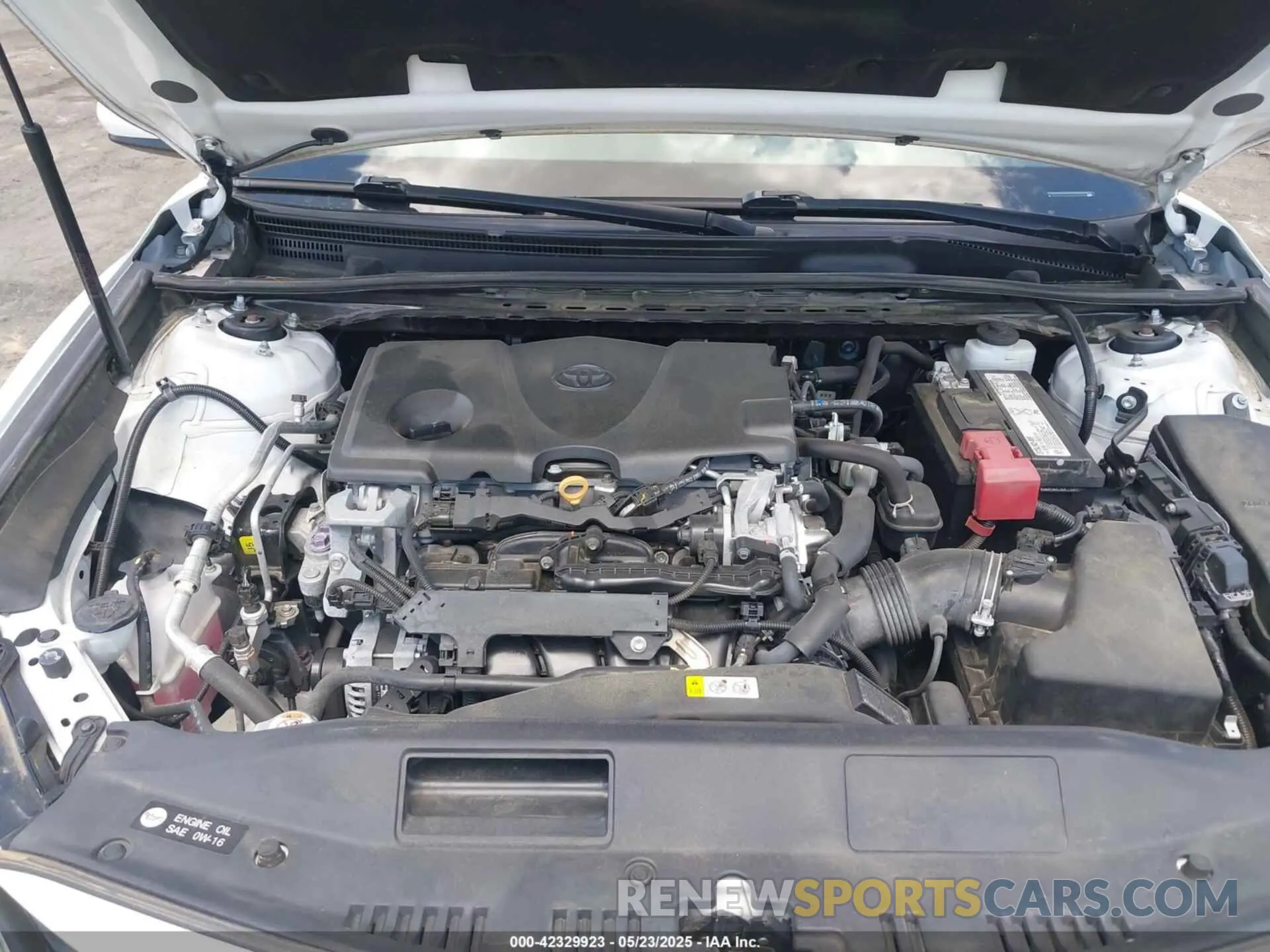10 fotografías del automóvil dañado 4T1B11HK8KU819010 TOYOTA CAMRY 2019