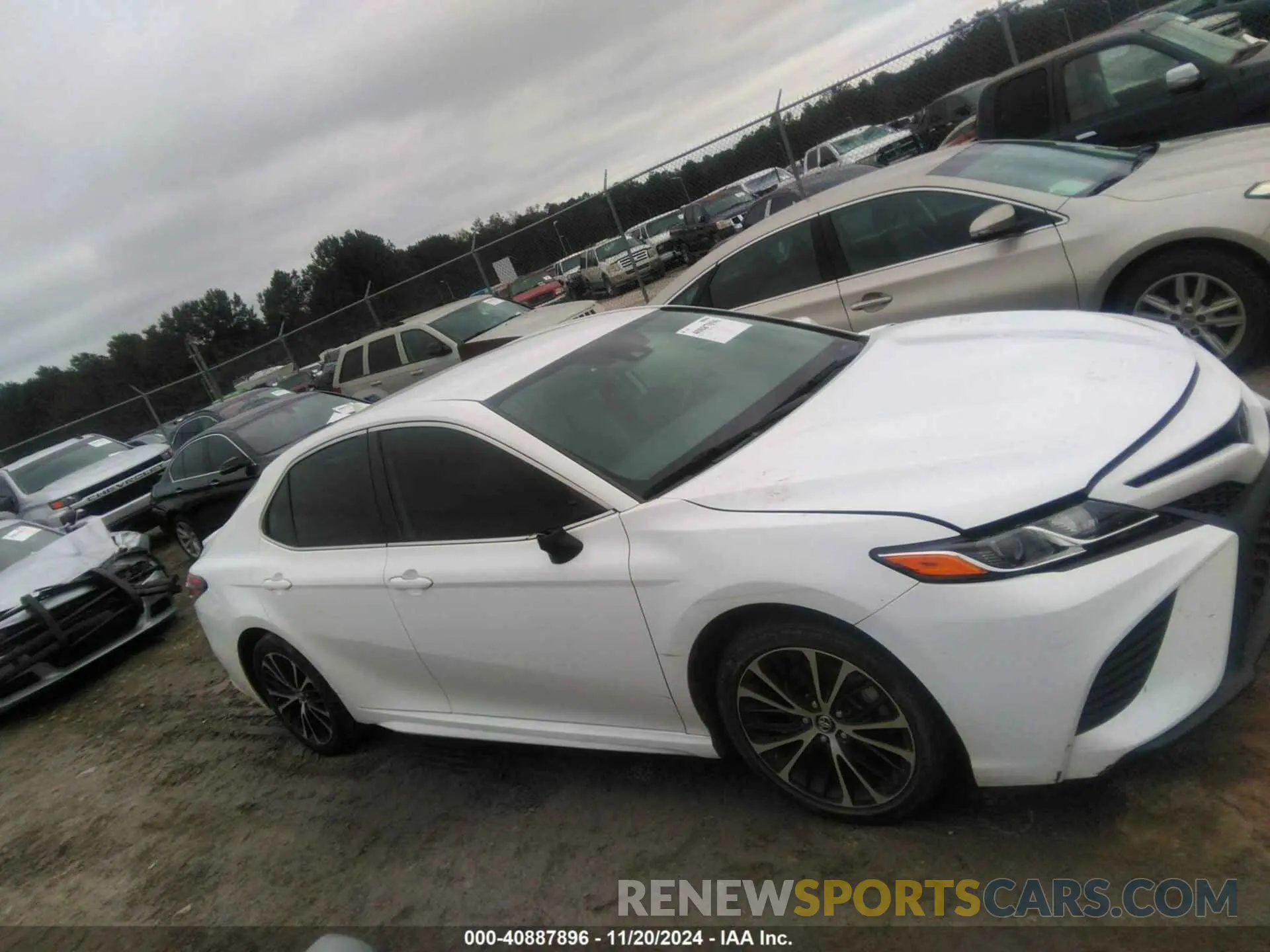12 fotografías del automóvil dañado 4T1B11HK8KU836521 TOYOTA CAMRY 2019