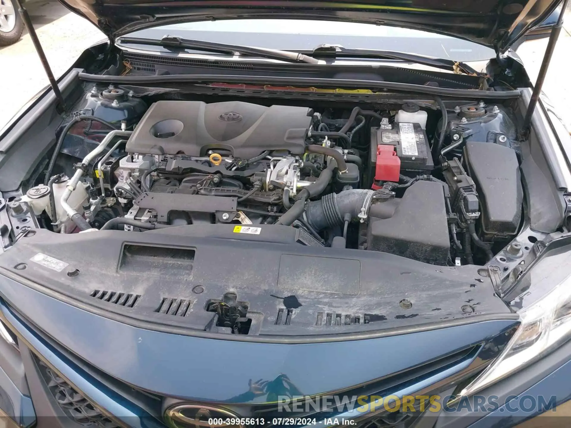 10 fotografías del automóvil dañado 4T1B11HK8KU840813 TOYOTA CAMRY 2019