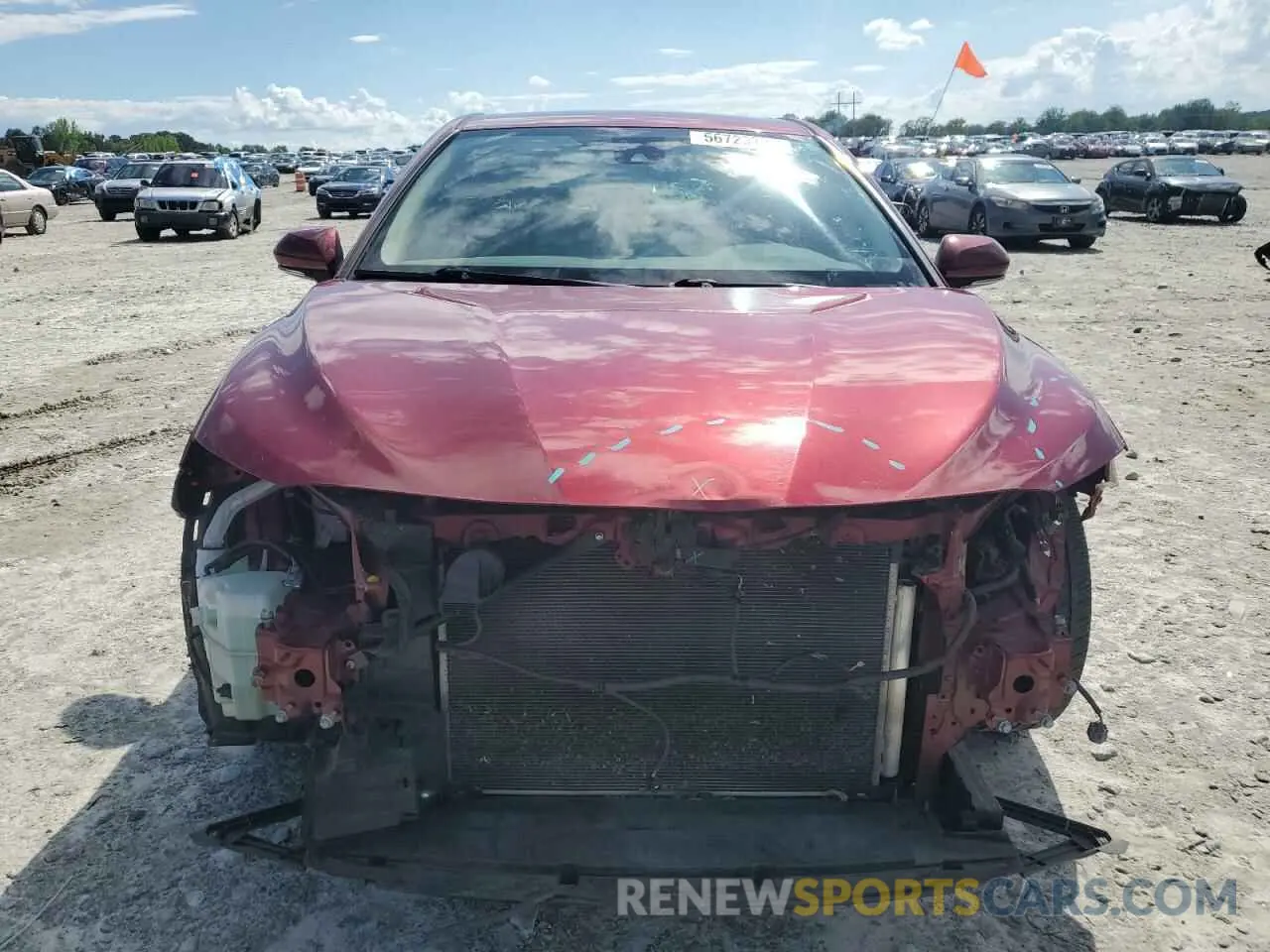5 fotografías del automóvil dañado 4T1B11HK8KU843114 TOYOTA CAMRY 2019