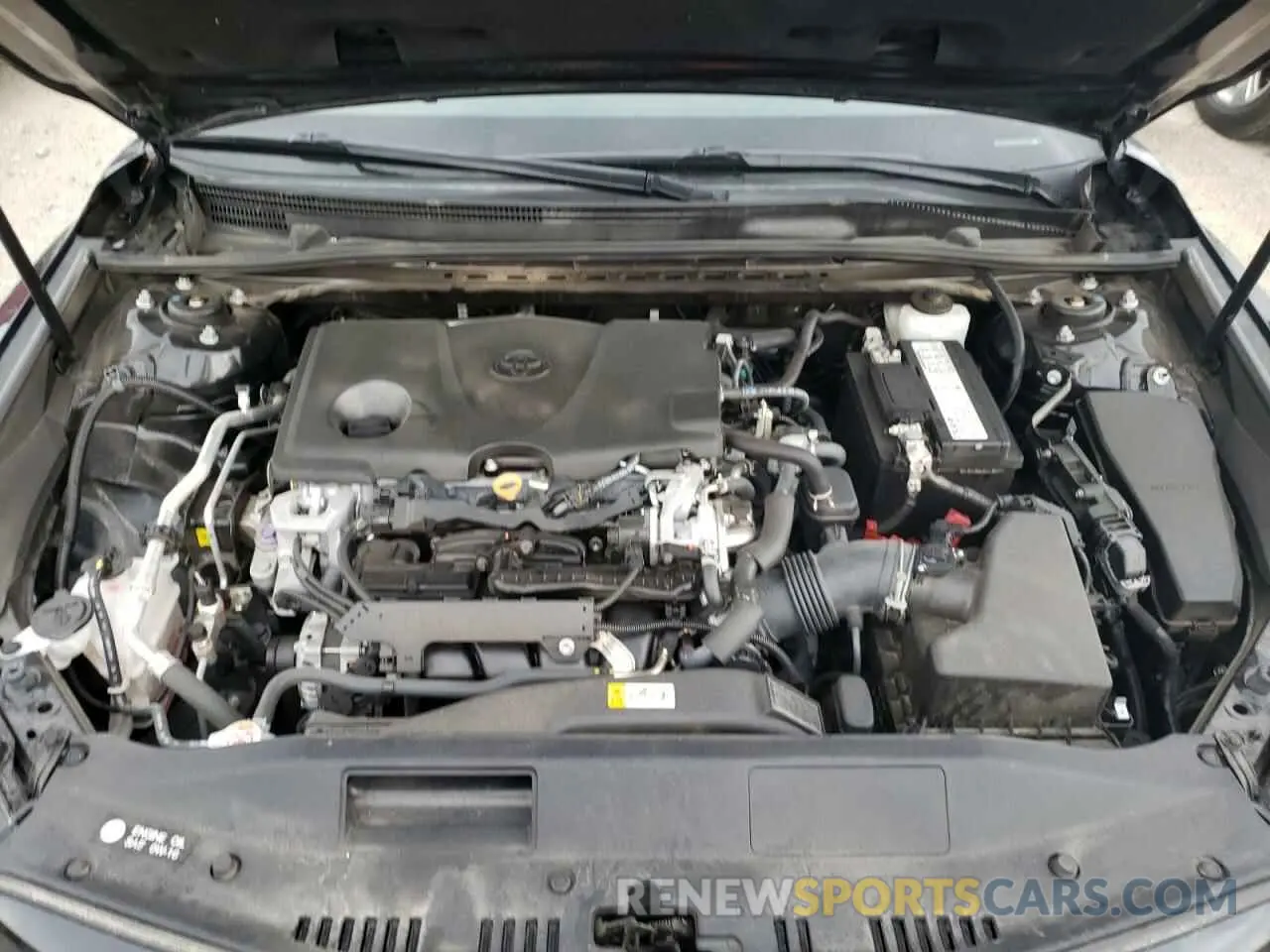 7 fotografías del automóvil dañado 4T1B11HK8KU844327 TOYOTA CAMRY 2019