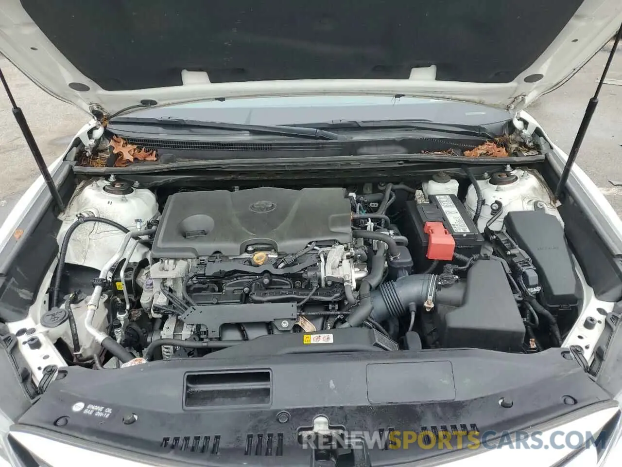 11 fotografías del automóvil dañado 4T1B11HK8KU850788 TOYOTA CAMRY 2019