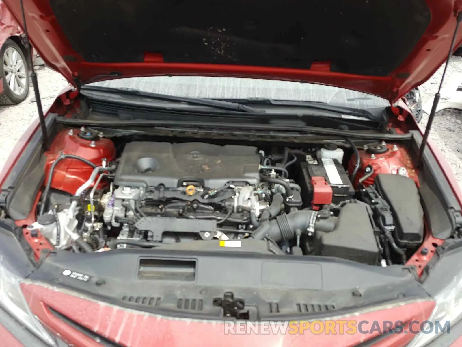 7 fotografías del automóvil dañado 4T1B11HK9KU160984 TOYOTA CAMRY 2019