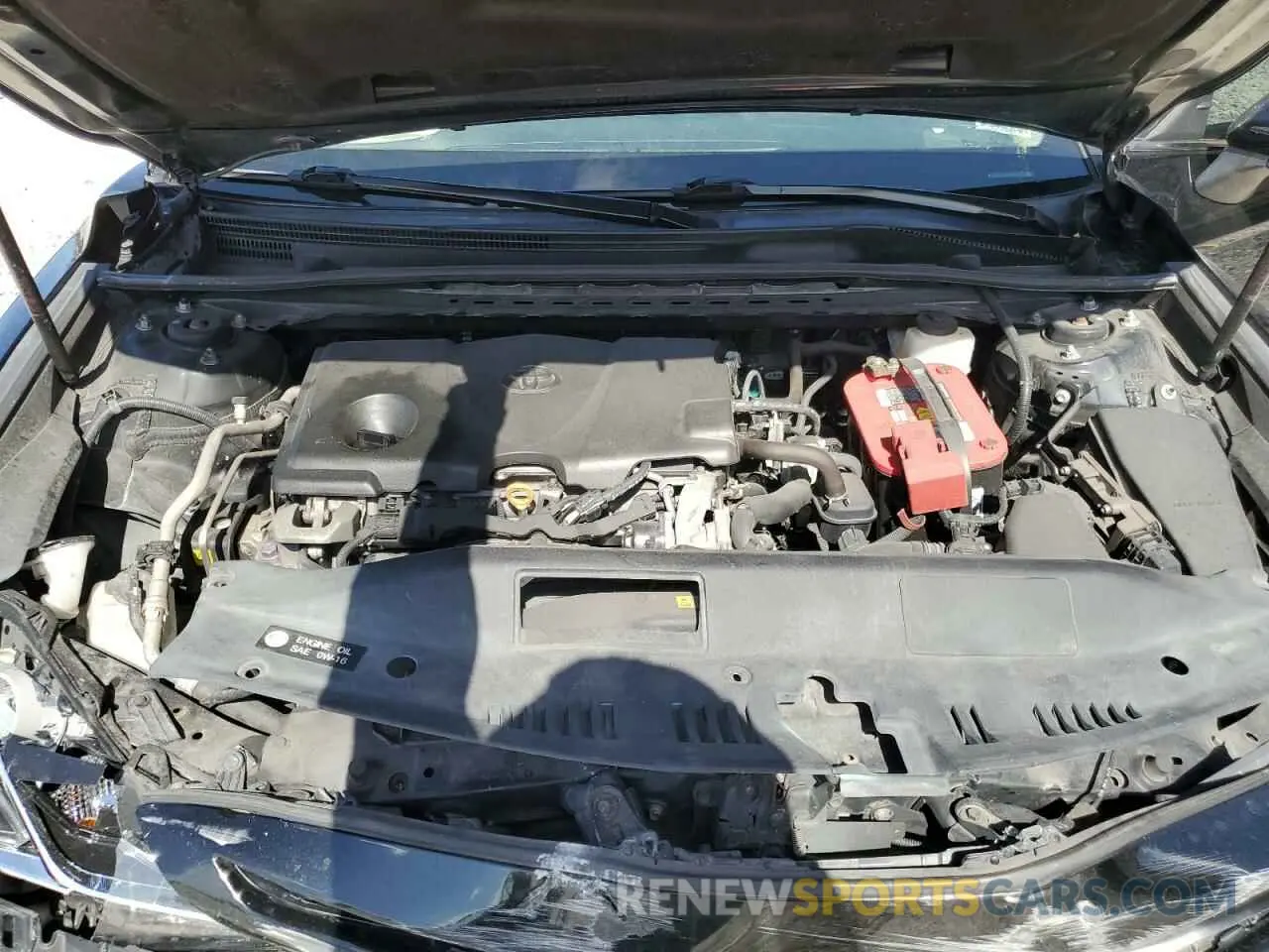 11 fotografías del automóvil dañado 4T1B11HK9KU186694 TOYOTA CAMRY 2019
