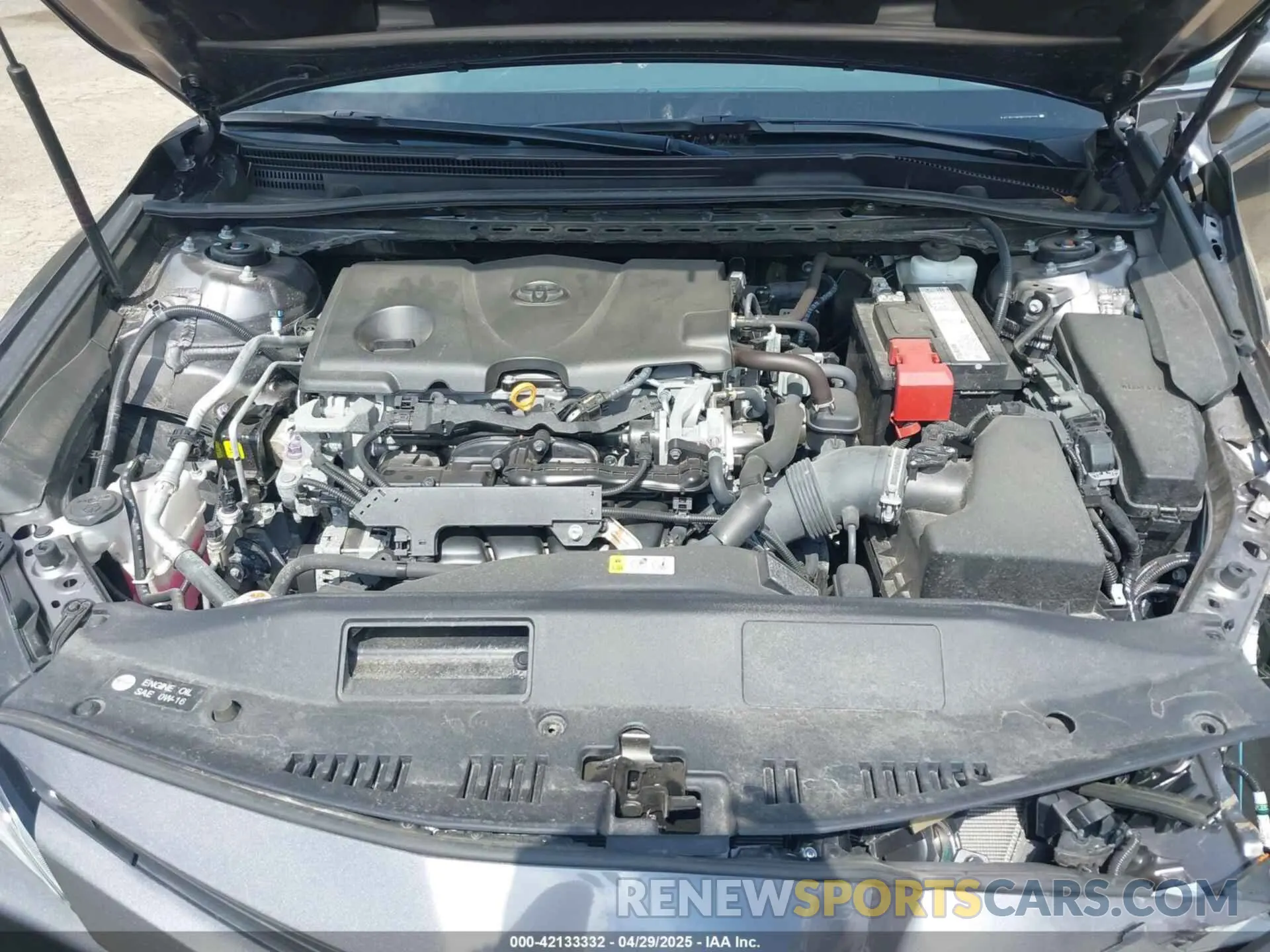 10 fotografías del automóvil dañado 4T1B11HK9KU229110 TOYOTA CAMRY 2019