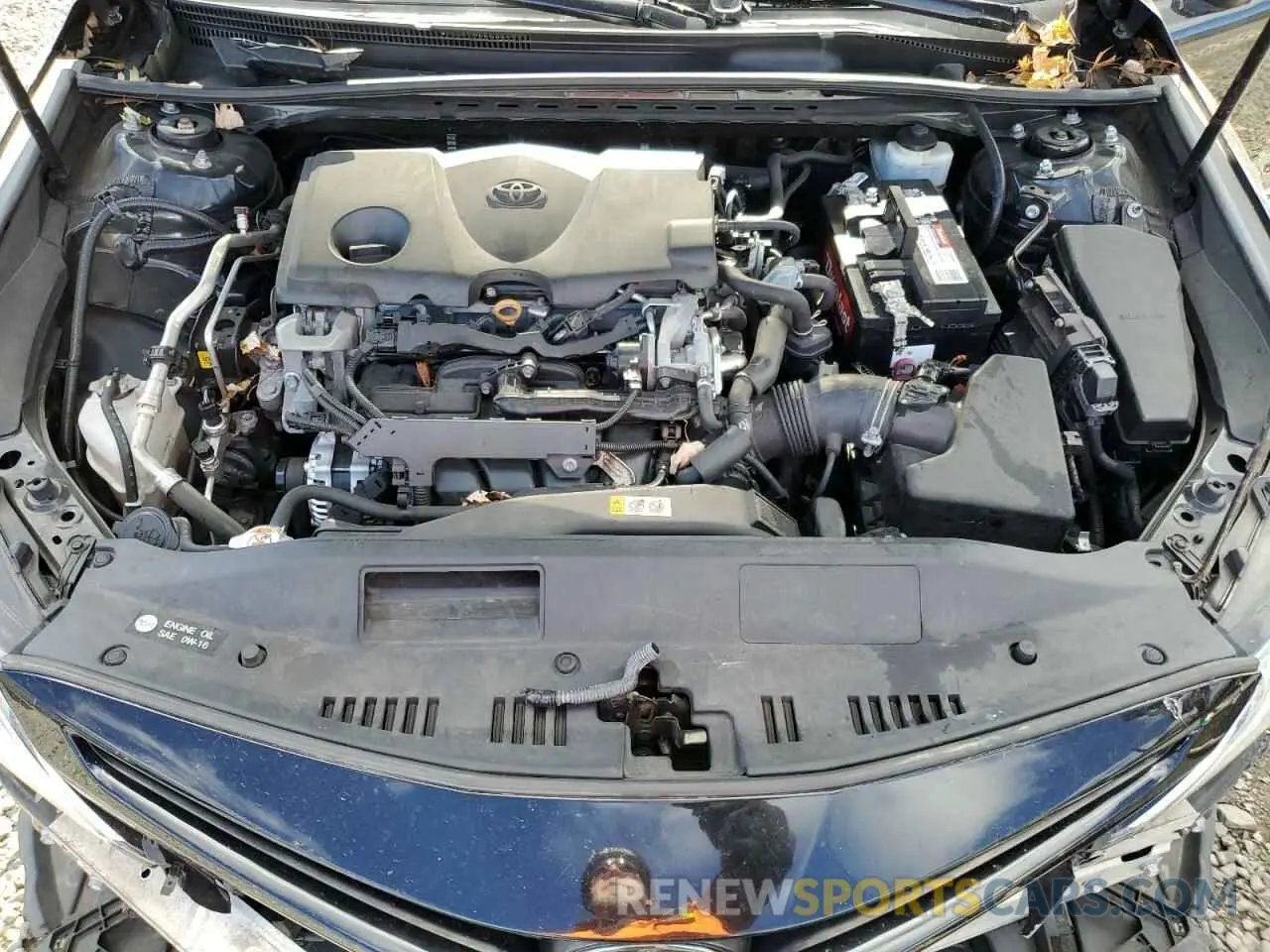 11 fotografías del automóvil dañado 4T1B11HK9KU233691 TOYOTA CAMRY 2019