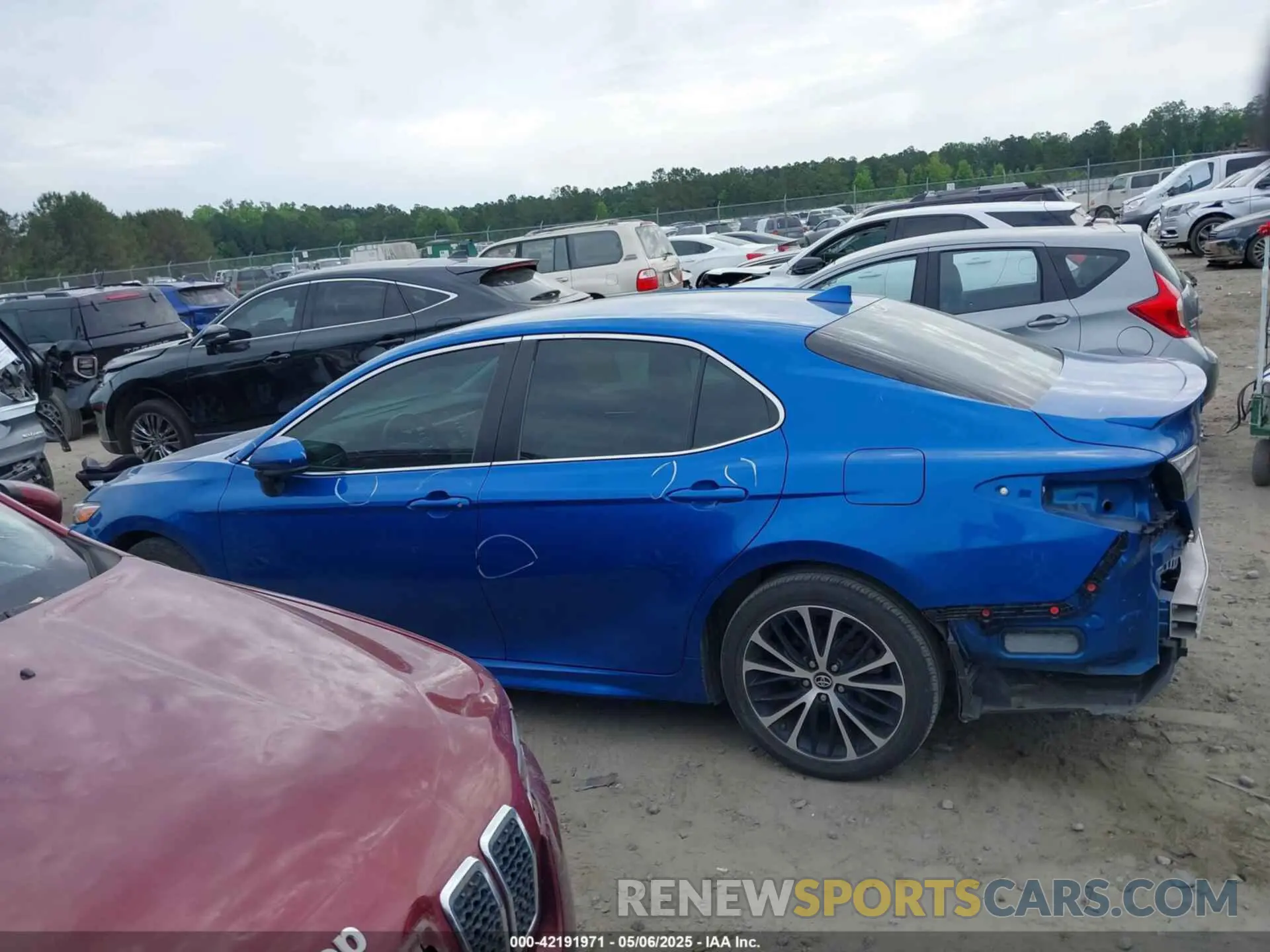 14 fotografías del automóvil dañado 4T1B11HK9KU241905 TOYOTA CAMRY 2019