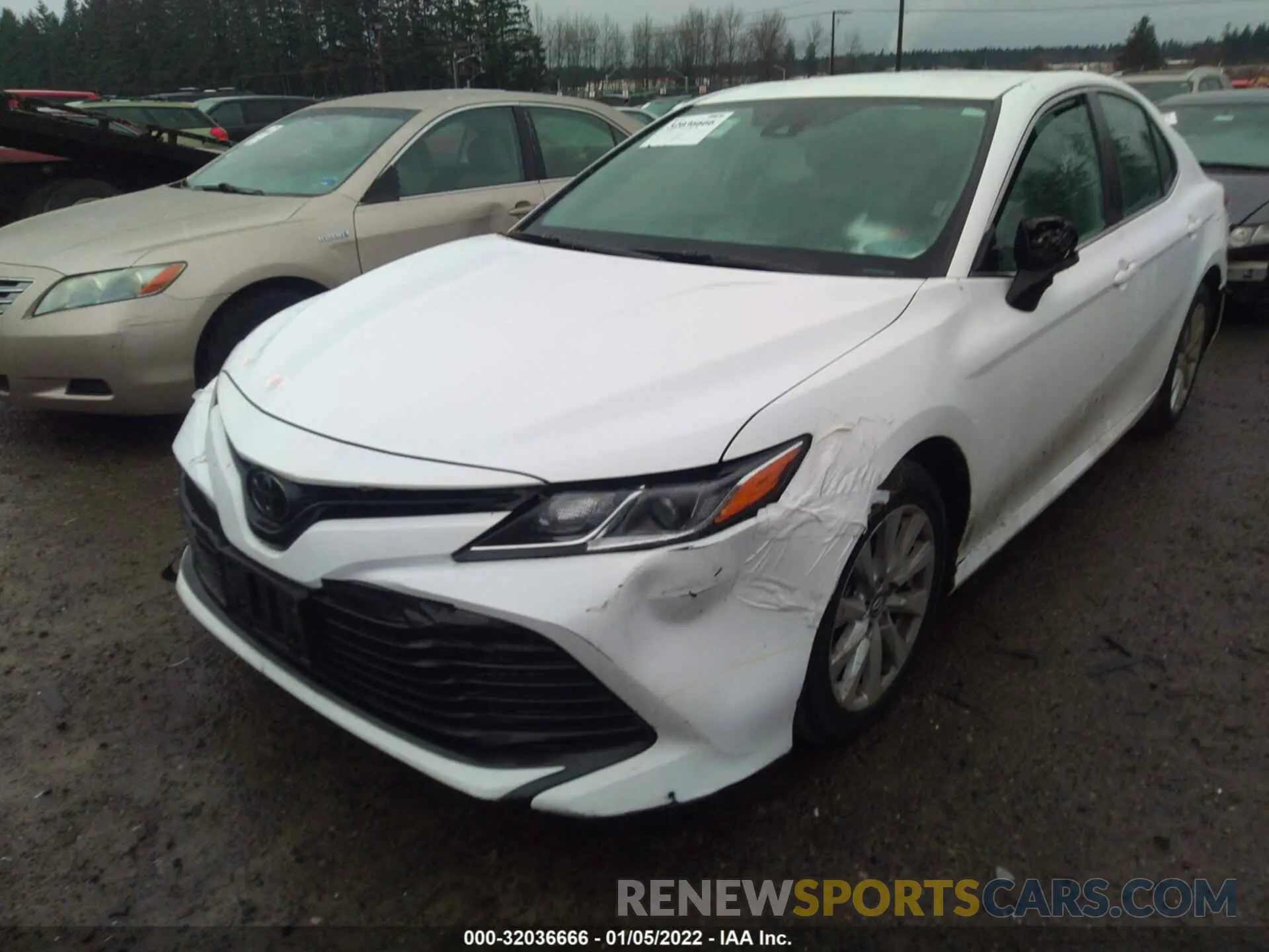 2 fotografías del automóvil dañado 4T1B11HK9KU254329 TOYOTA CAMRY 2019
