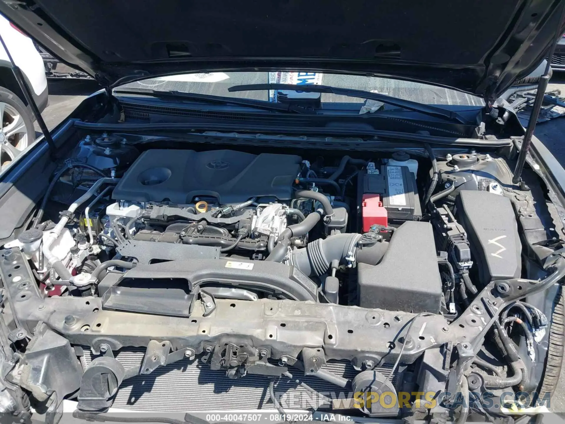 10 fotografías del automóvil dañado 4T1B11HK9KU299142 TOYOTA CAMRY 2019