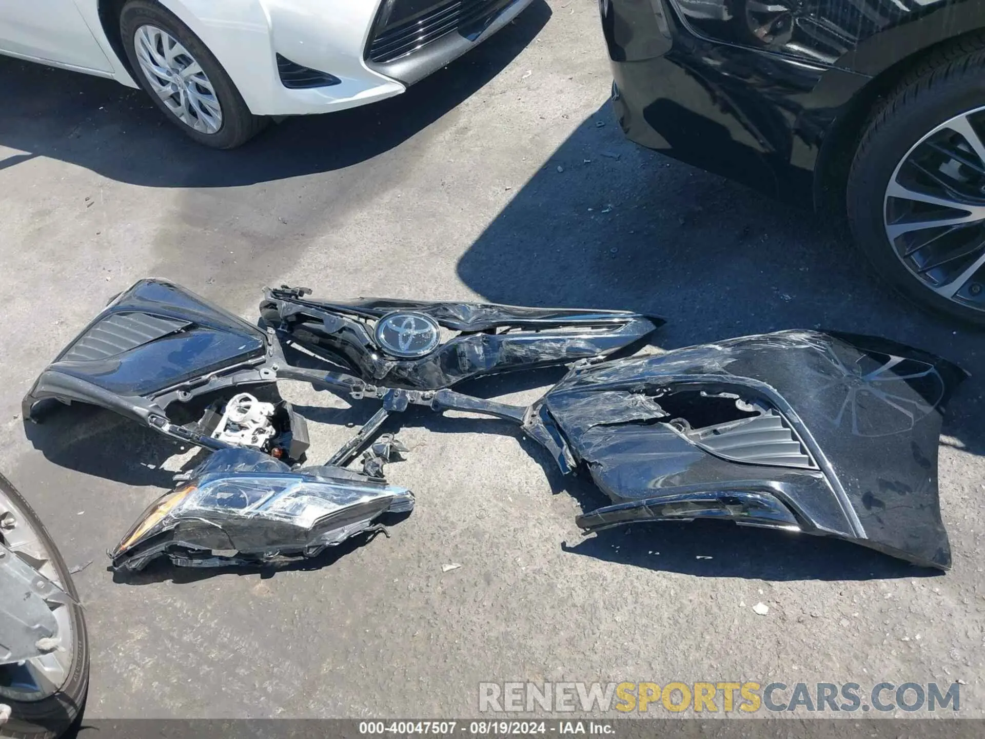 12 fotografías del automóvil dañado 4T1B11HK9KU299142 TOYOTA CAMRY 2019