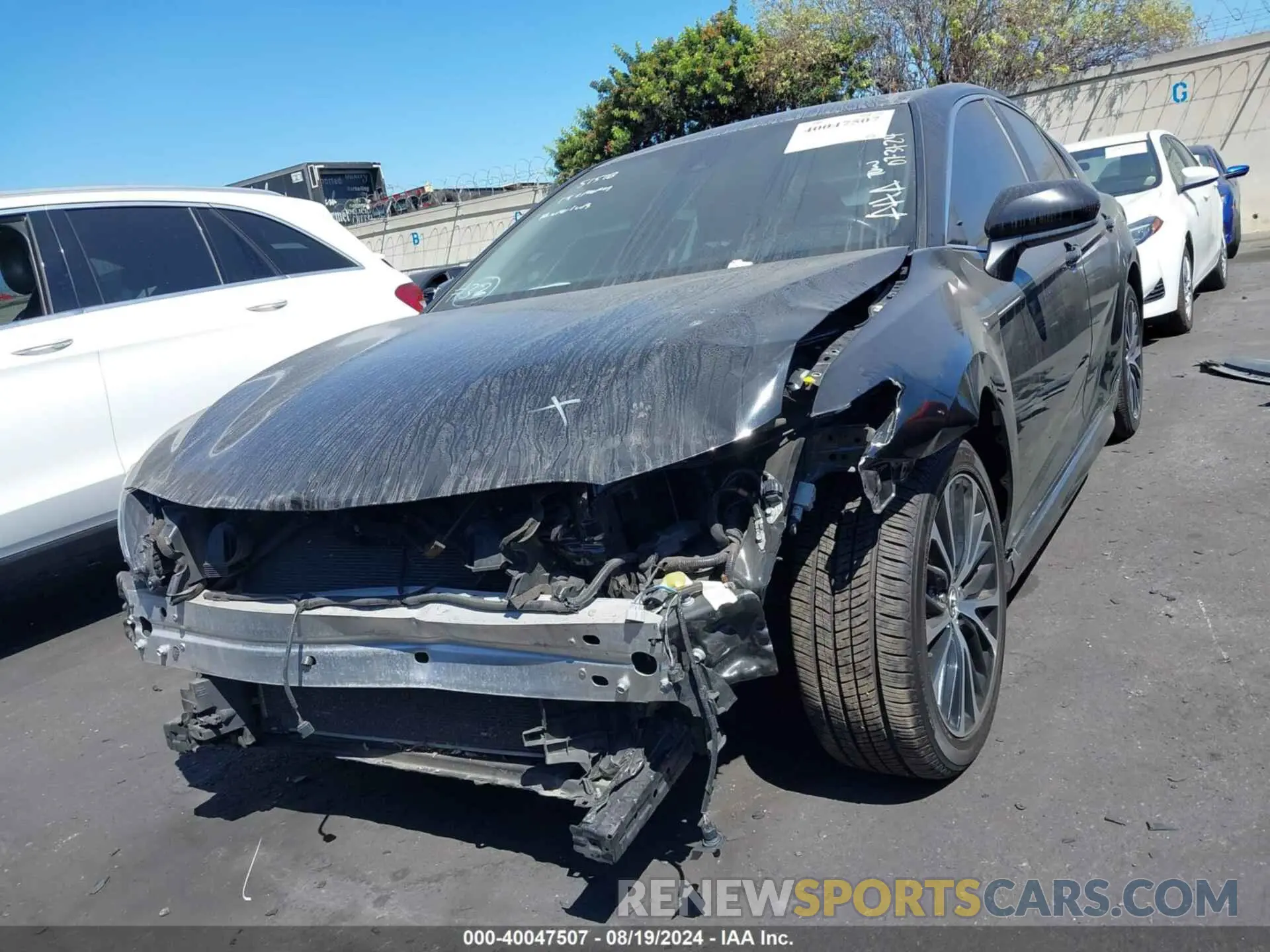 13 fotografías del automóvil dañado 4T1B11HK9KU299142 TOYOTA CAMRY 2019
