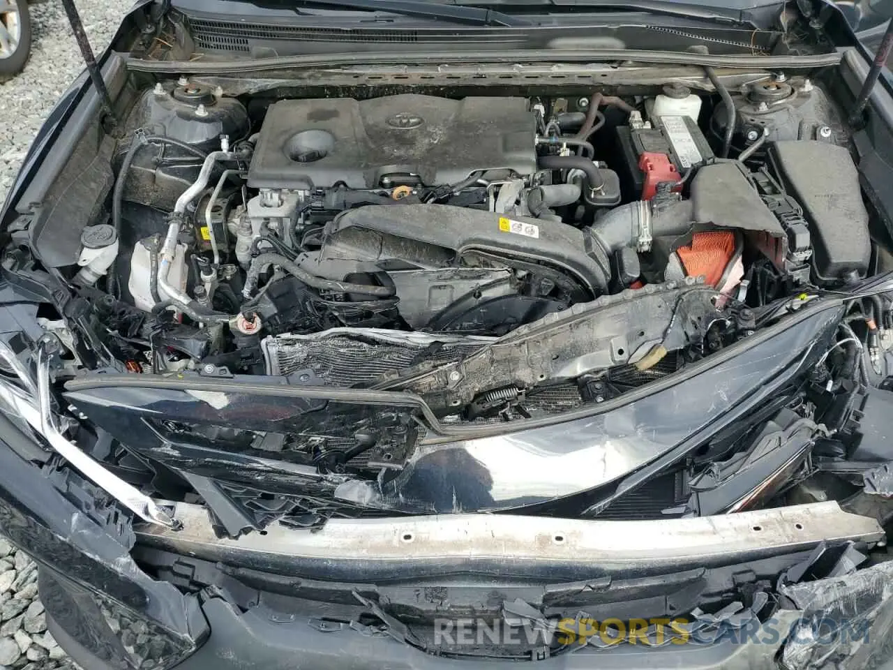 11 fotografías del automóvil dañado 4T1B11HK9KU733446 TOYOTA CAMRY 2019