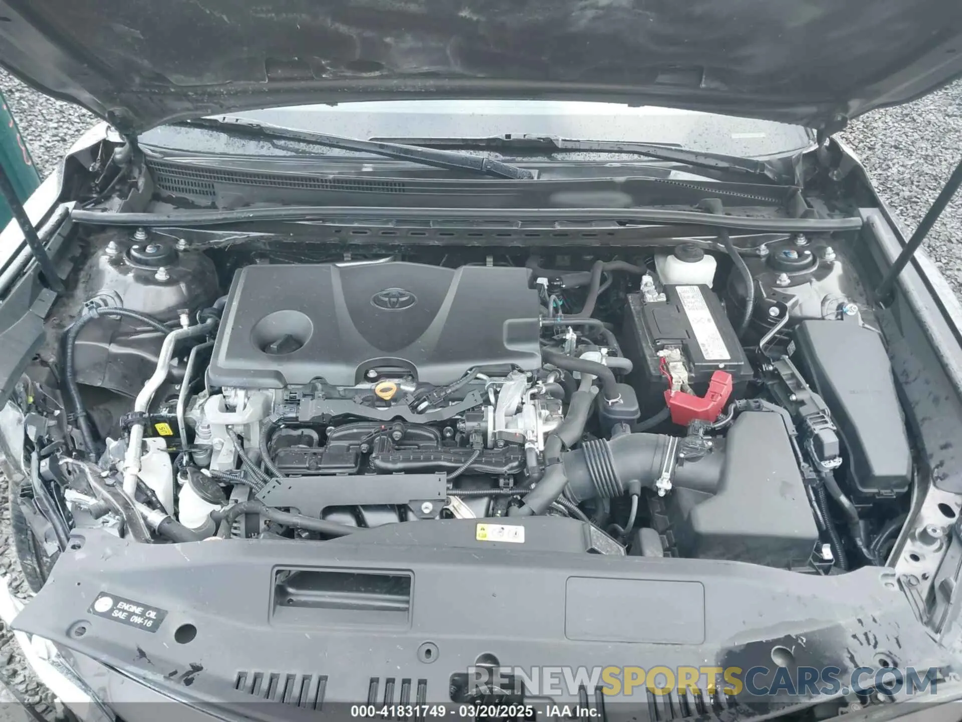 10 fotografías del automóvil dañado 4T1B11HK9KU744852 TOYOTA CAMRY 2019