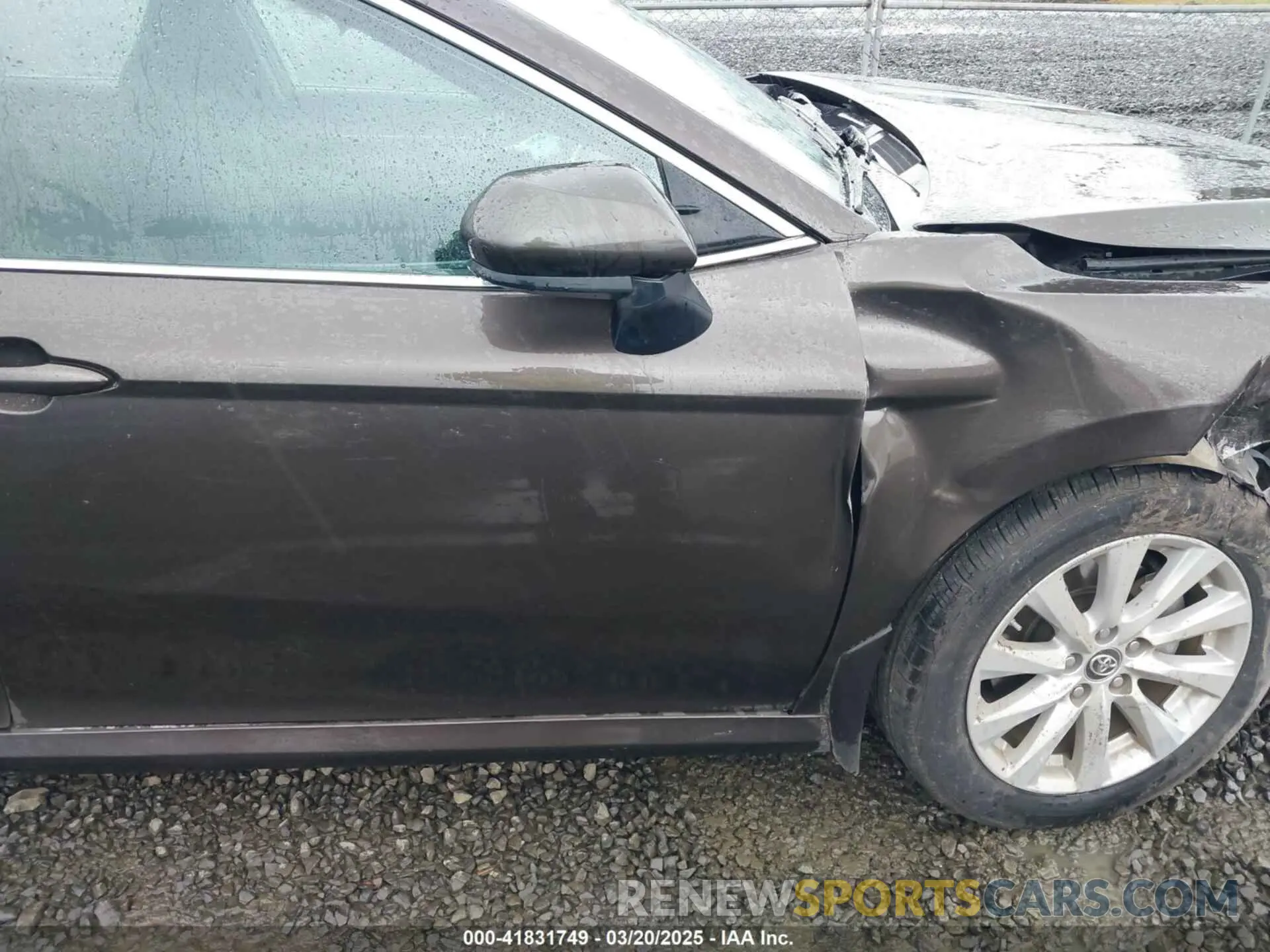 12 fotografías del automóvil dañado 4T1B11HK9KU744852 TOYOTA CAMRY 2019