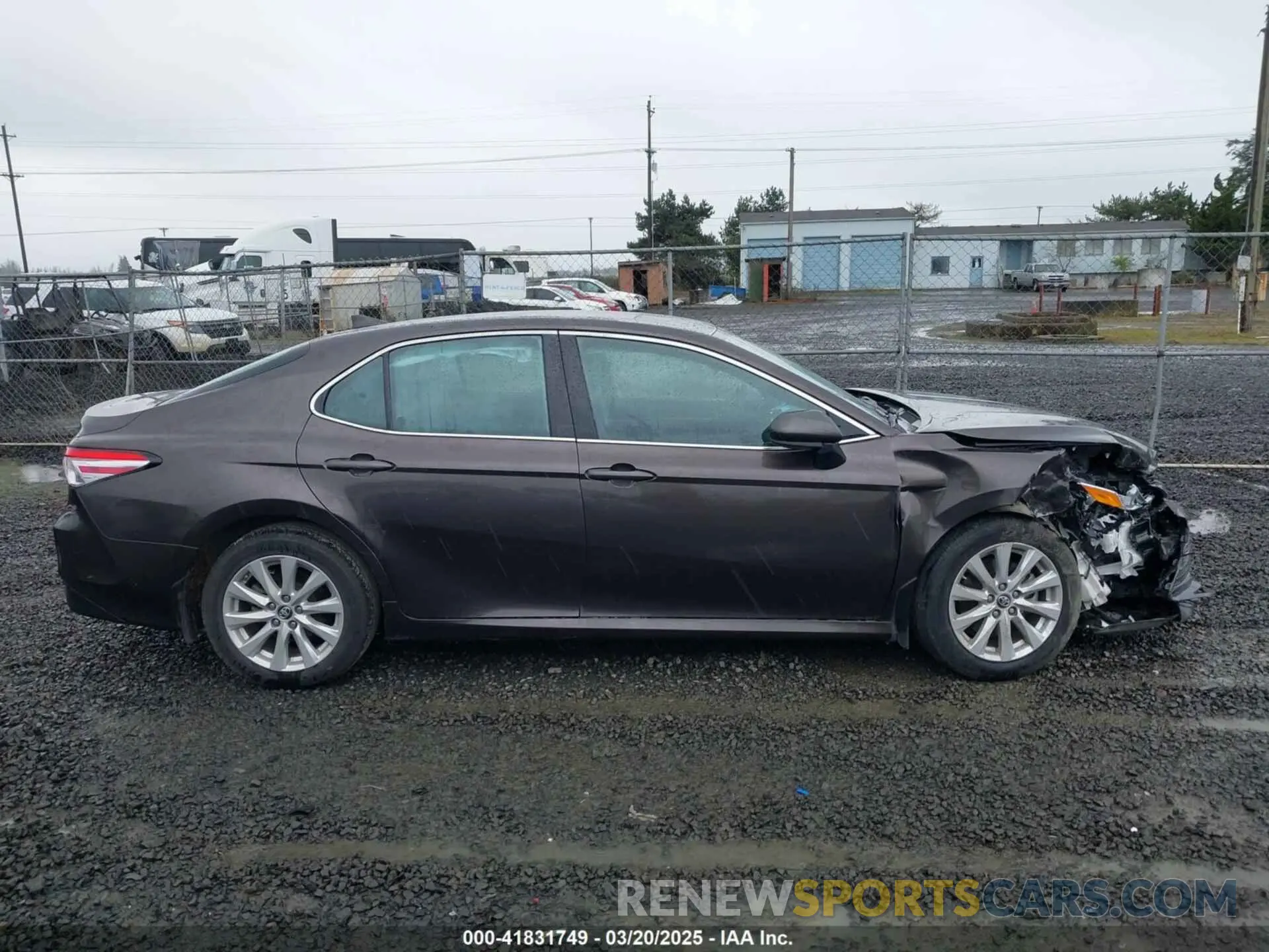 14 fotografías del automóvil dañado 4T1B11HK9KU744852 TOYOTA CAMRY 2019