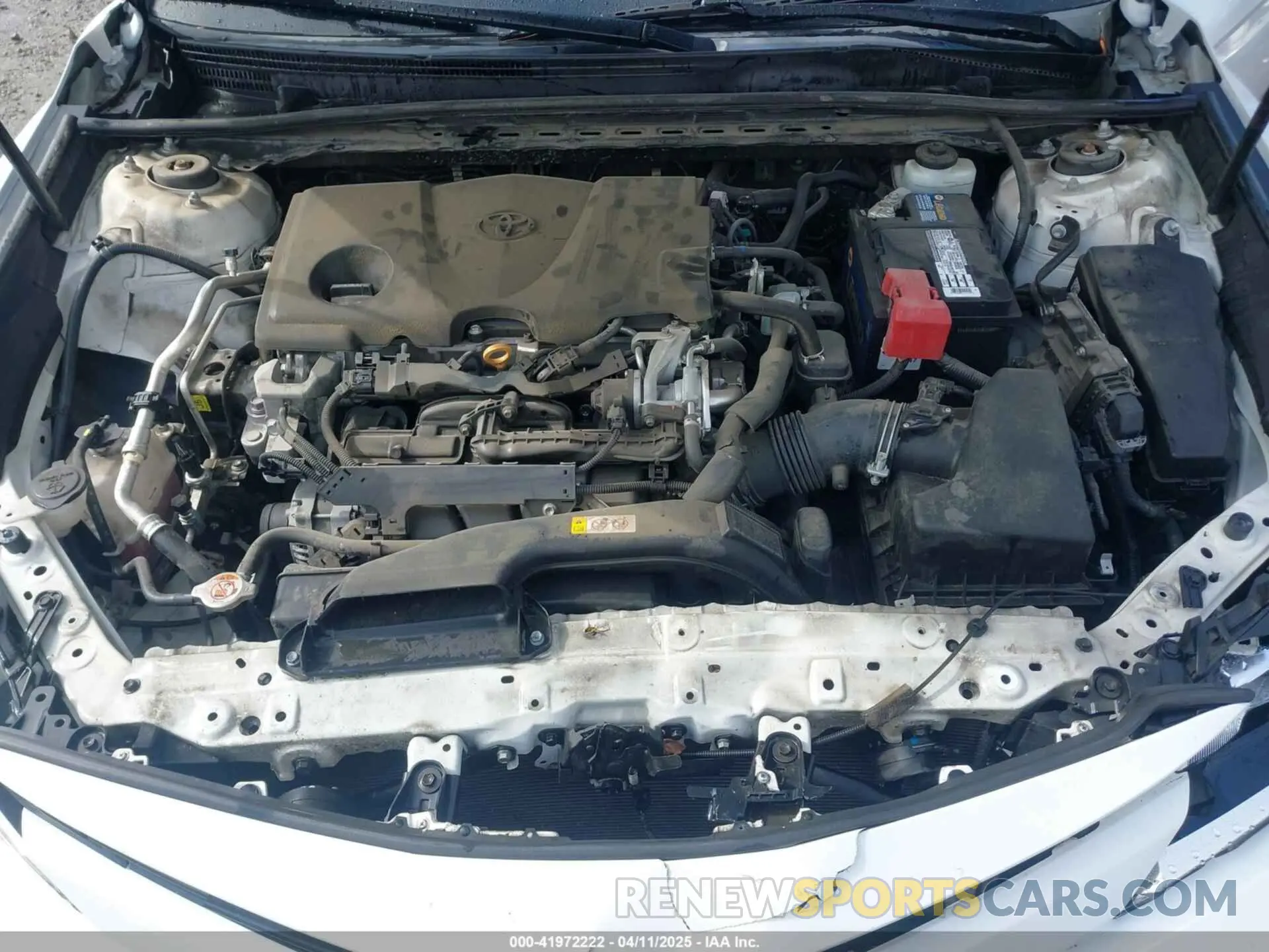 10 fotografías del automóvil dañado 4T1B11HK9KU775213 TOYOTA CAMRY 2019