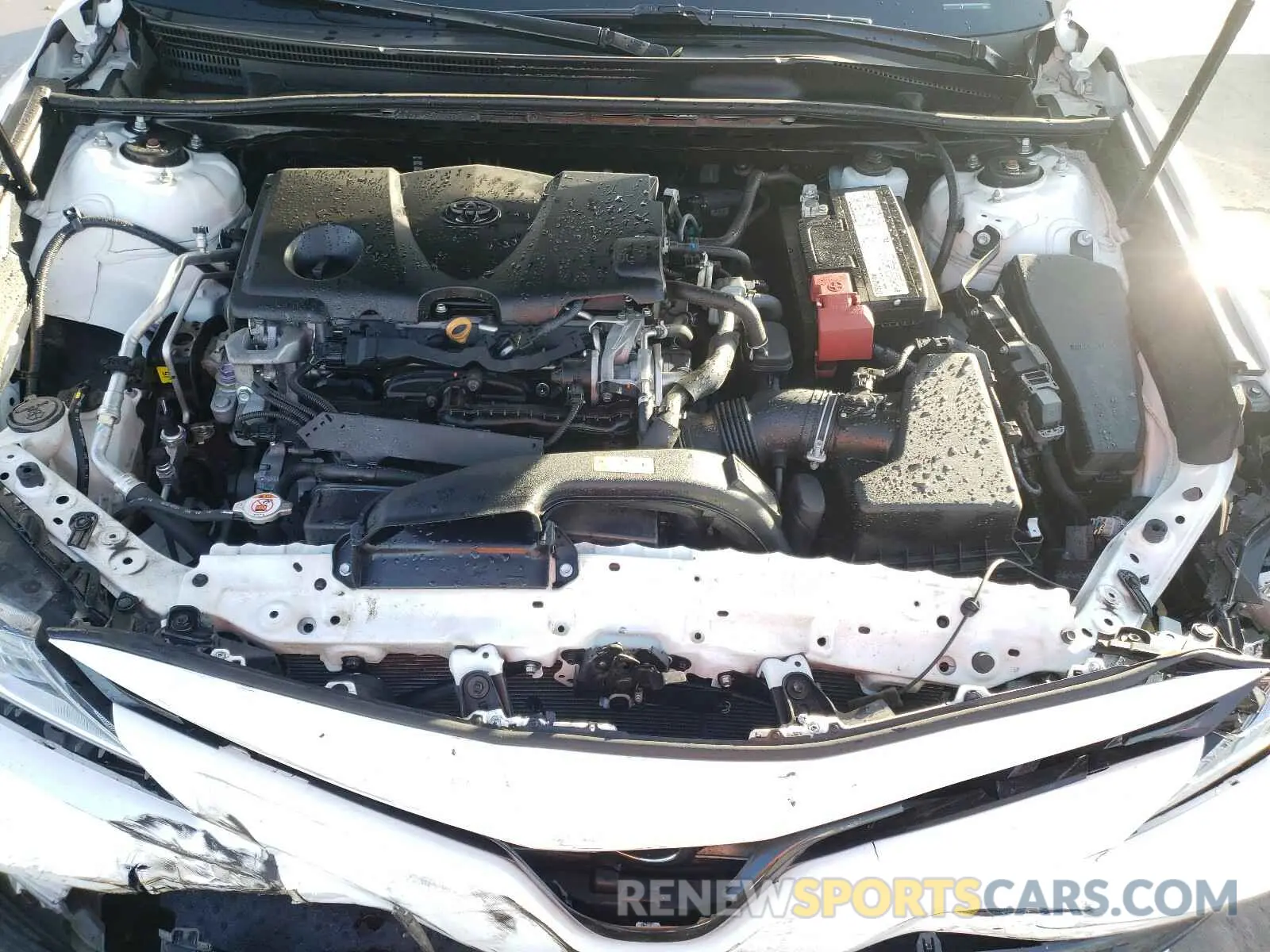 7 fotografías del automóvil dañado 4T1B11HK9KU793968 TOYOTA CAMRY 2019
