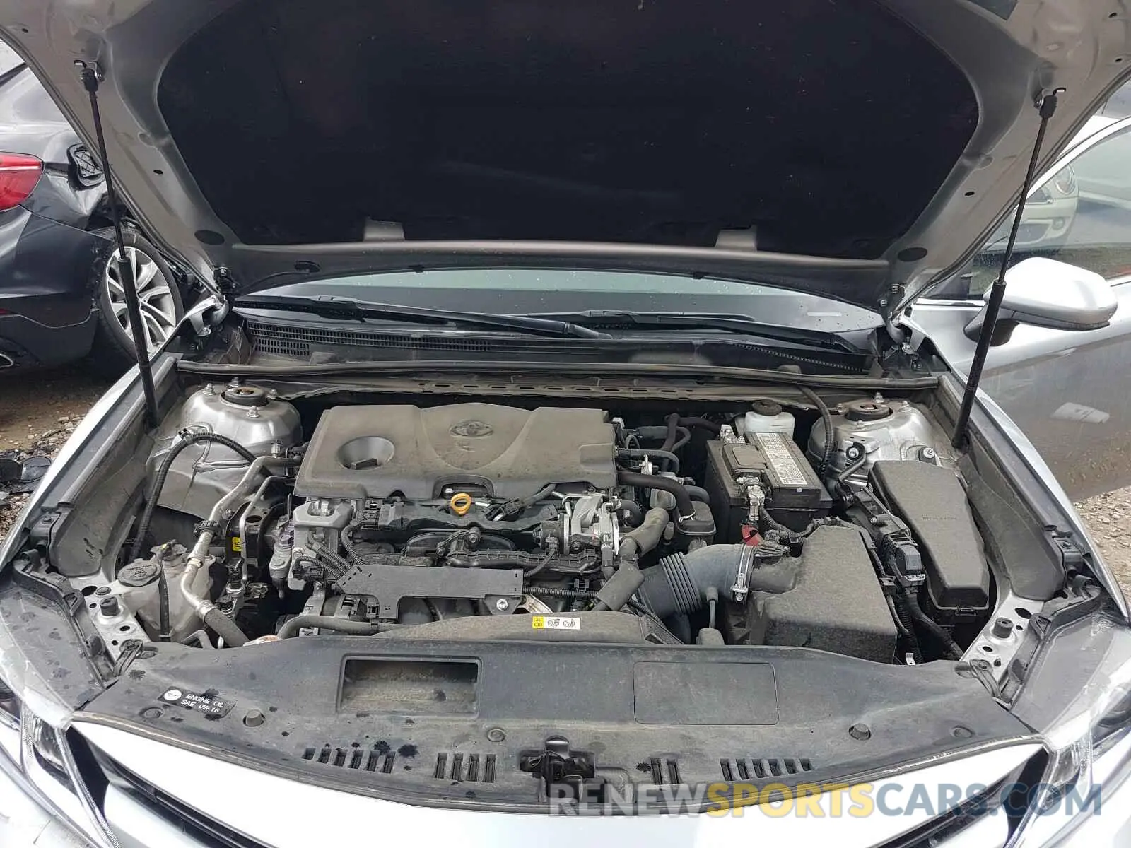 7 fotografías del automóvil dañado 4T1B11HK9KU796160 TOYOTA CAMRY 2019