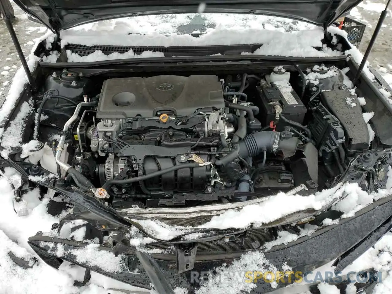 11 fotografías del automóvil dañado 4T1B11HK9KU796451 TOYOTA CAMRY 2019