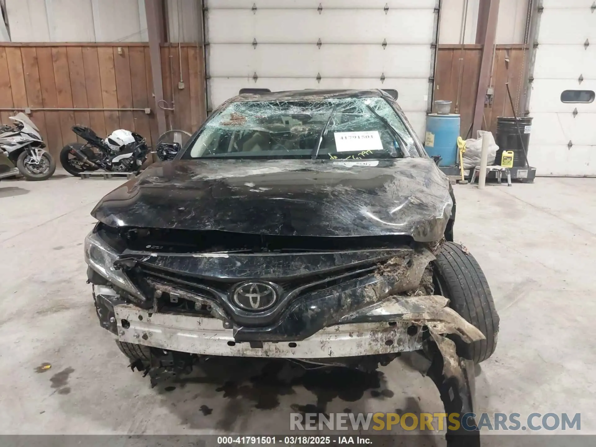 13 fotografías del automóvil dañado 4T1B11HK9KU799978 TOYOTA CAMRY 2019