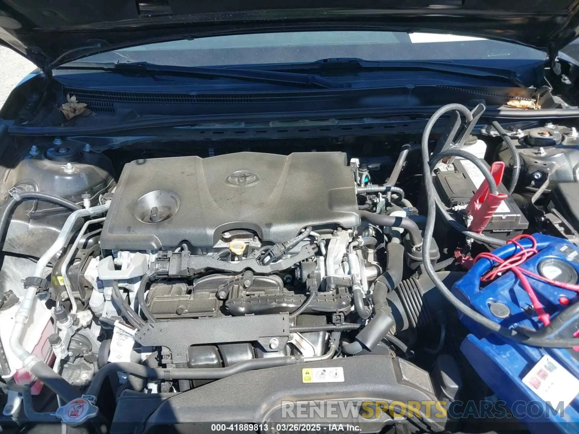 10 fotografías del automóvil dañado 4T1B11HK9KU814060 TOYOTA CAMRY 2019