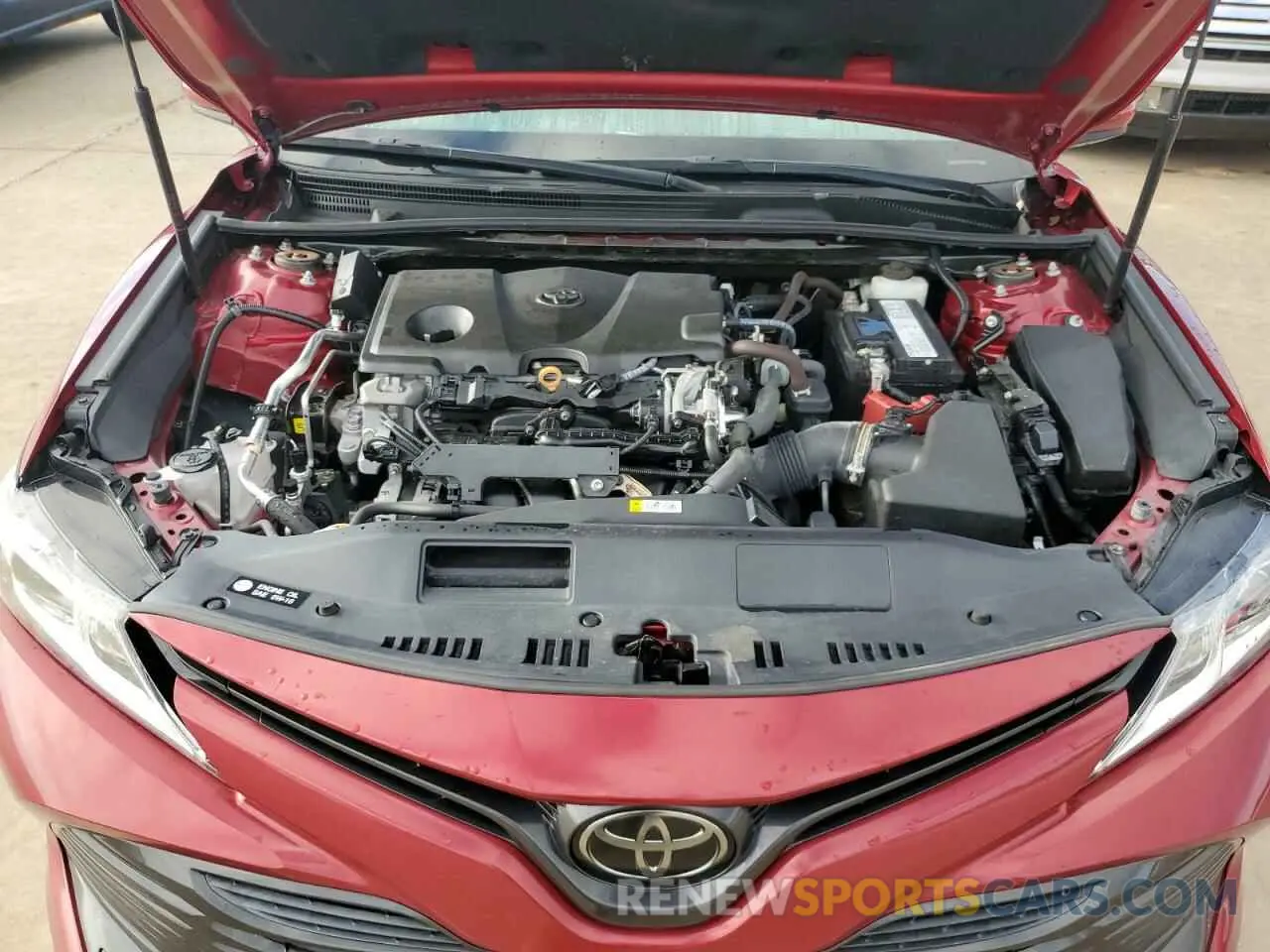 11 fotografías del automóvil dañado 4T1B11HK9KU814687 TOYOTA CAMRY 2019