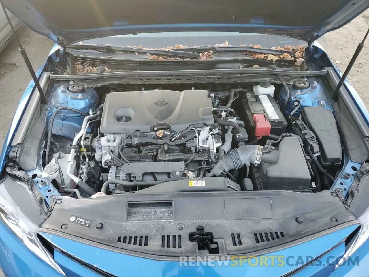 11 fotografías del automóvil dañado 4T1B11HKXKU174392 TOYOTA CAMRY 2019