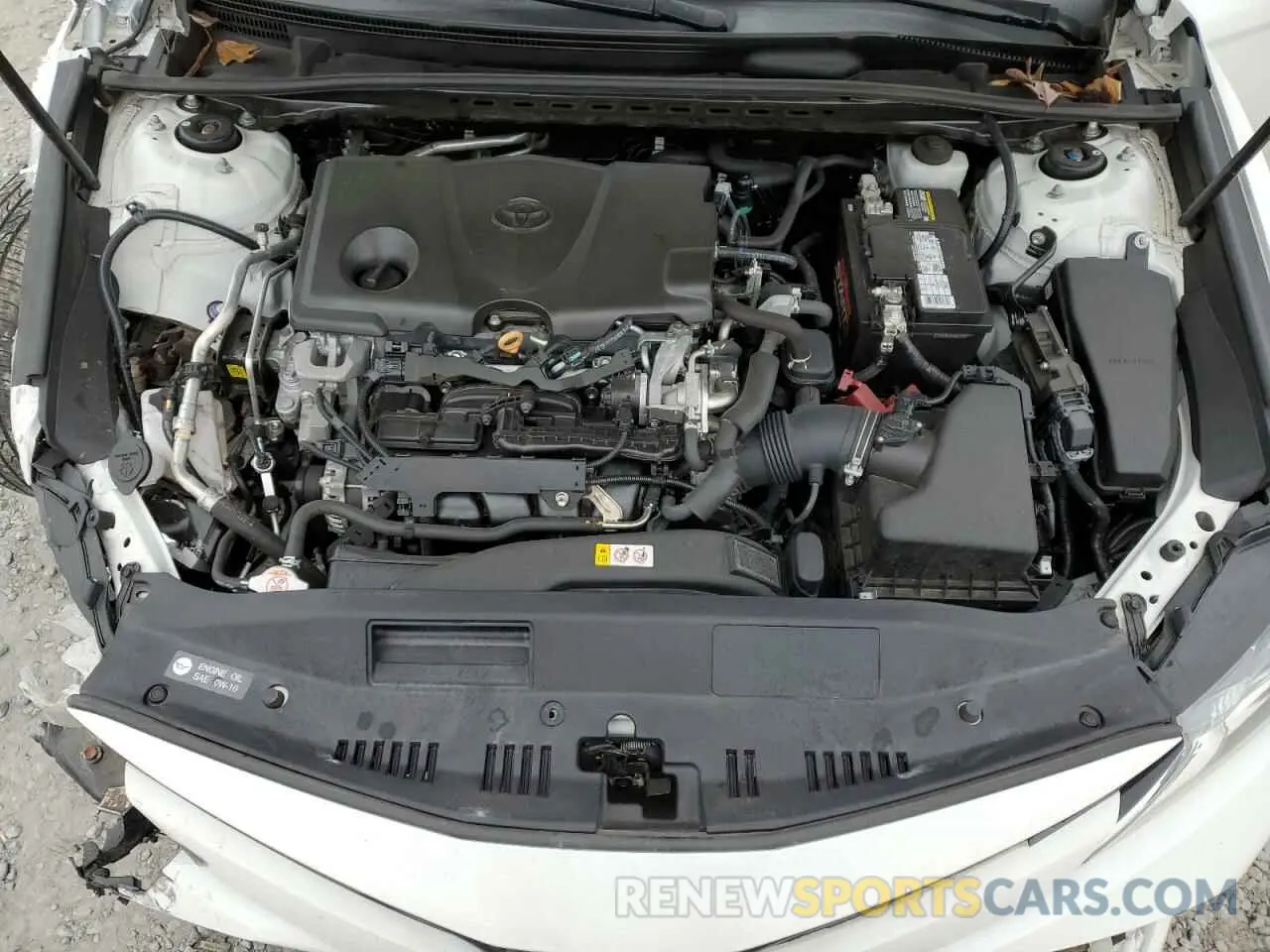 11 fotografías del automóvil dañado 4T1B11HKXKU207259 TOYOTA CAMRY 2019