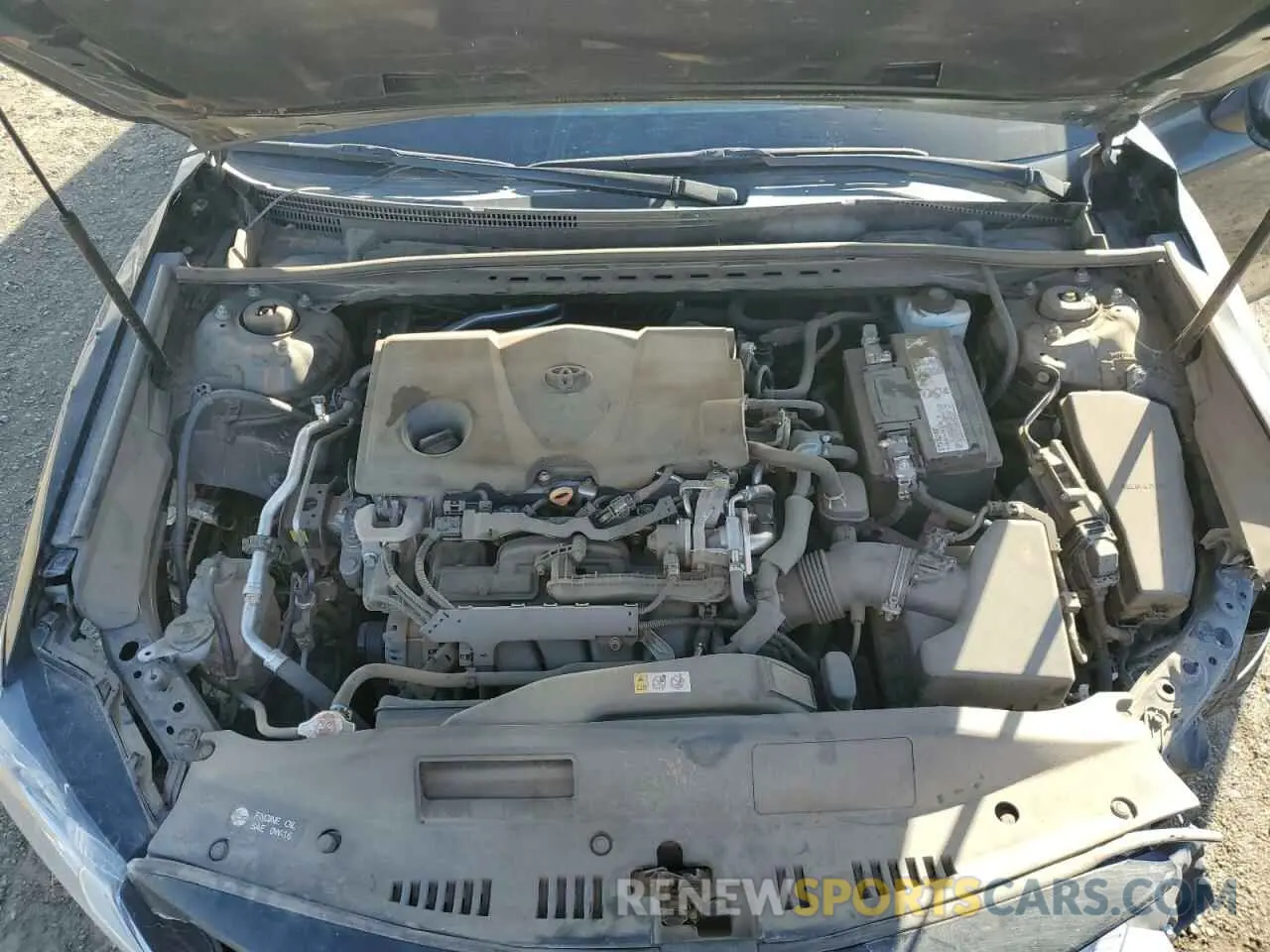 11 fotografías del automóvil dañado 4T1B11HKXKU226846 TOYOTA CAMRY 2019