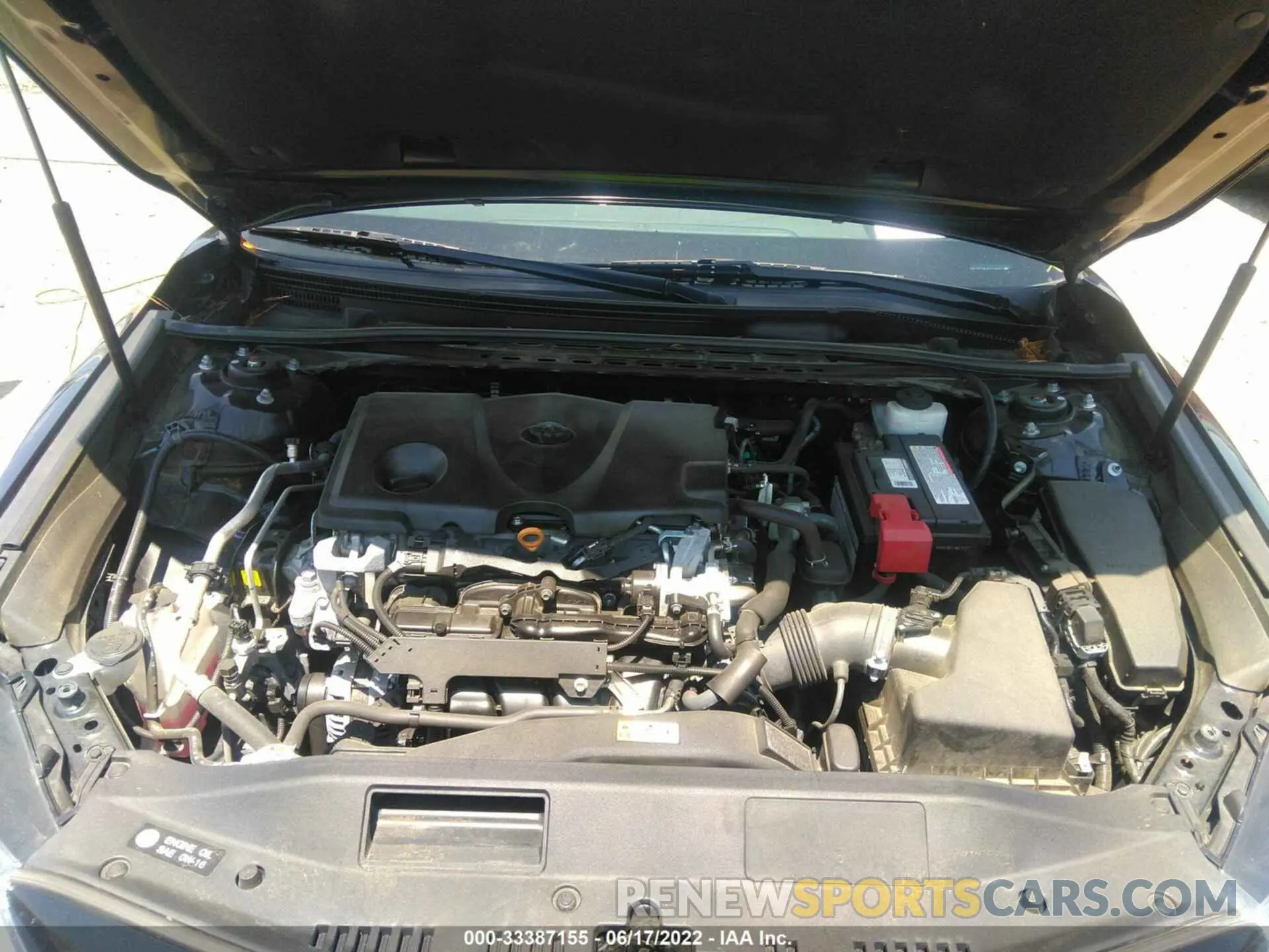 10 fotografías del automóvil dañado 4T1B11HKXKU229102 TOYOTA CAMRY 2019