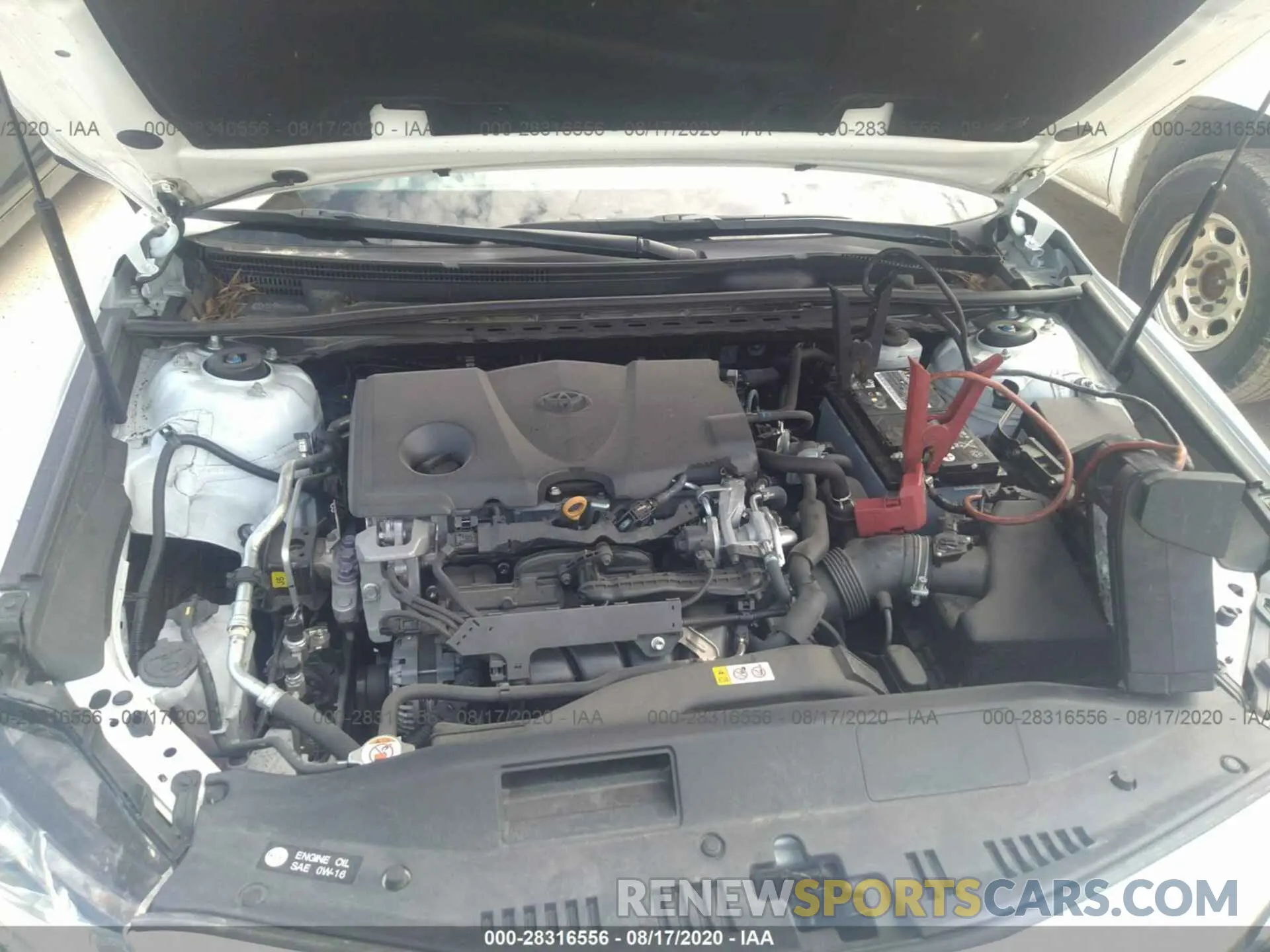 10 fotografías del automóvil dañado 4T1B11HKXKU229231 TOYOTA CAMRY 2019