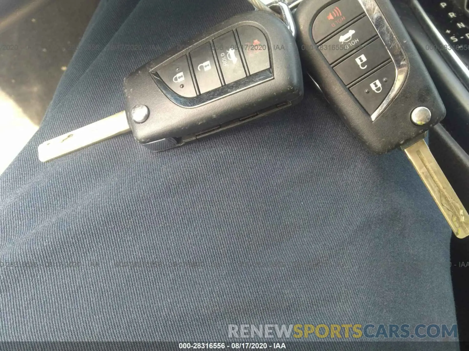 11 fotografías del automóvil dañado 4T1B11HKXKU229231 TOYOTA CAMRY 2019