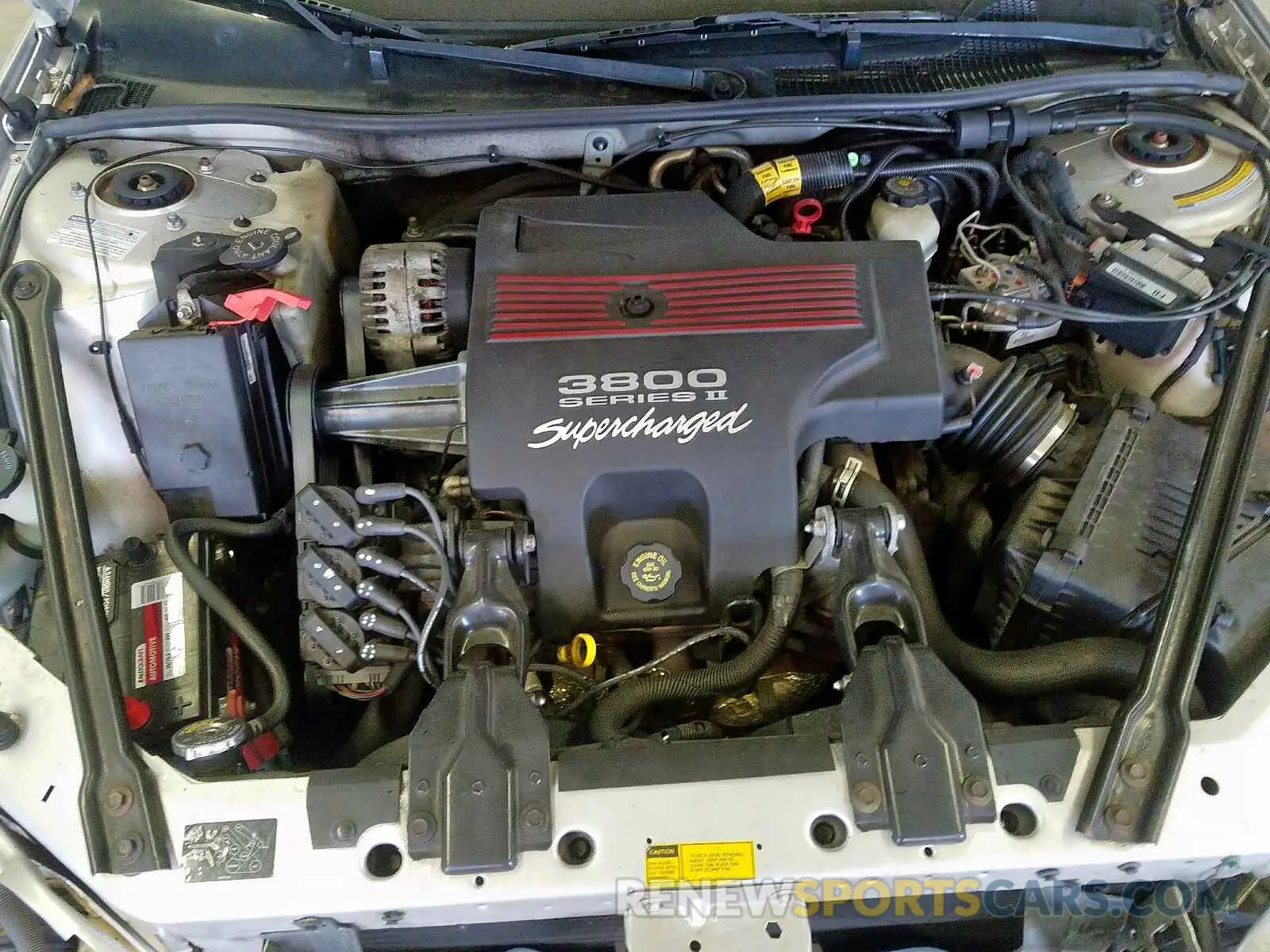 7 fotografías del automóvil dañado 4T1B11HKXKU231979 TOYOTA CAMRY 2019