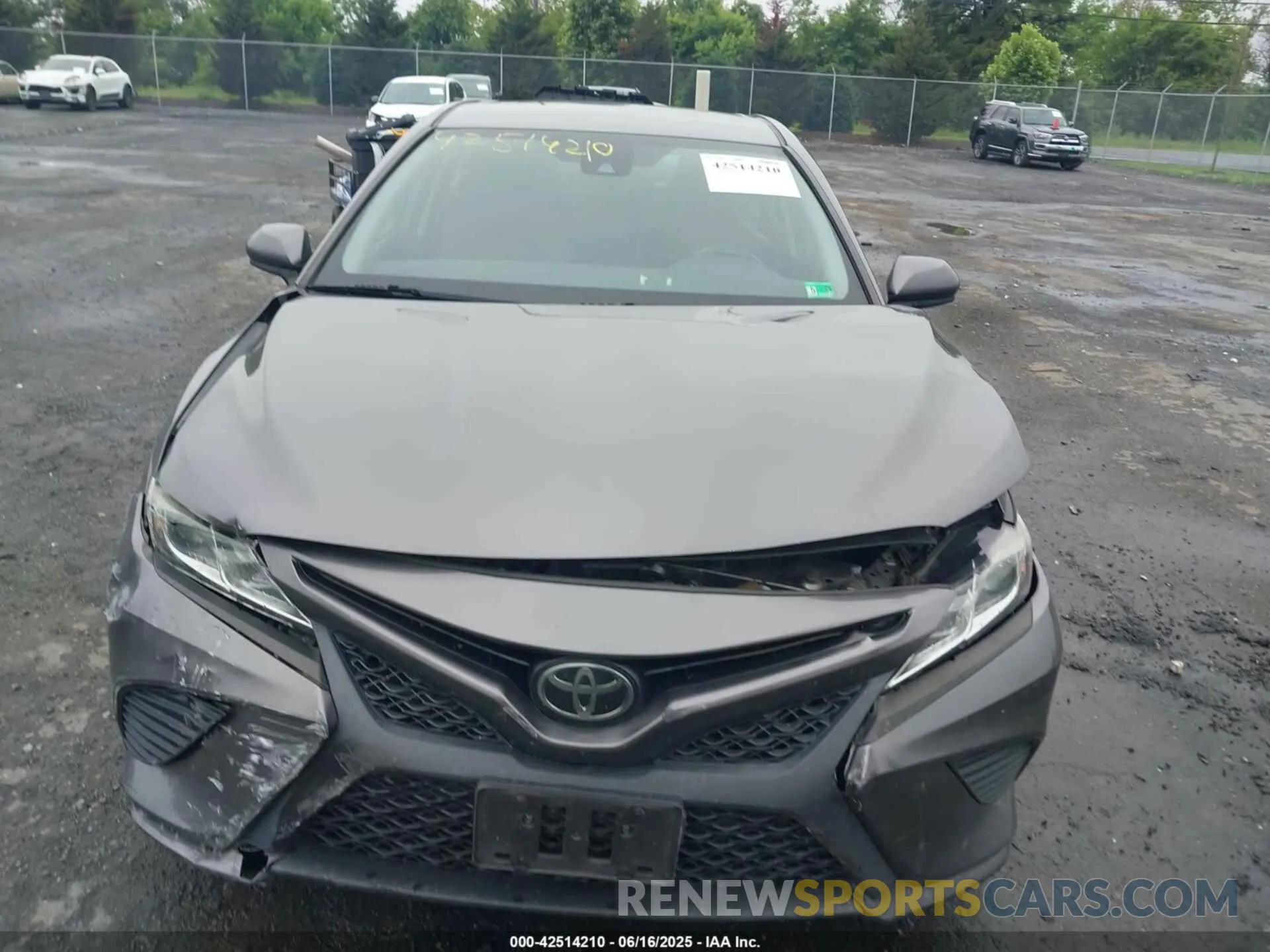 12 fotografías del automóvil dañado 4T1B11HKXKU235174 TOYOTA CAMRY 2019