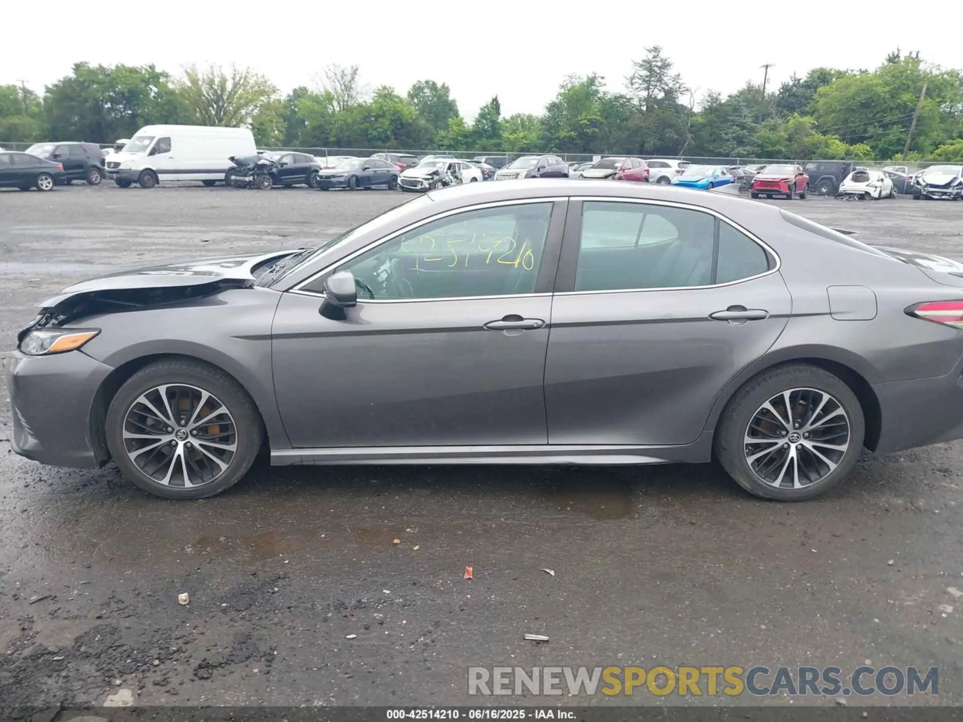 14 fotografías del automóvil dañado 4T1B11HKXKU235174 TOYOTA CAMRY 2019