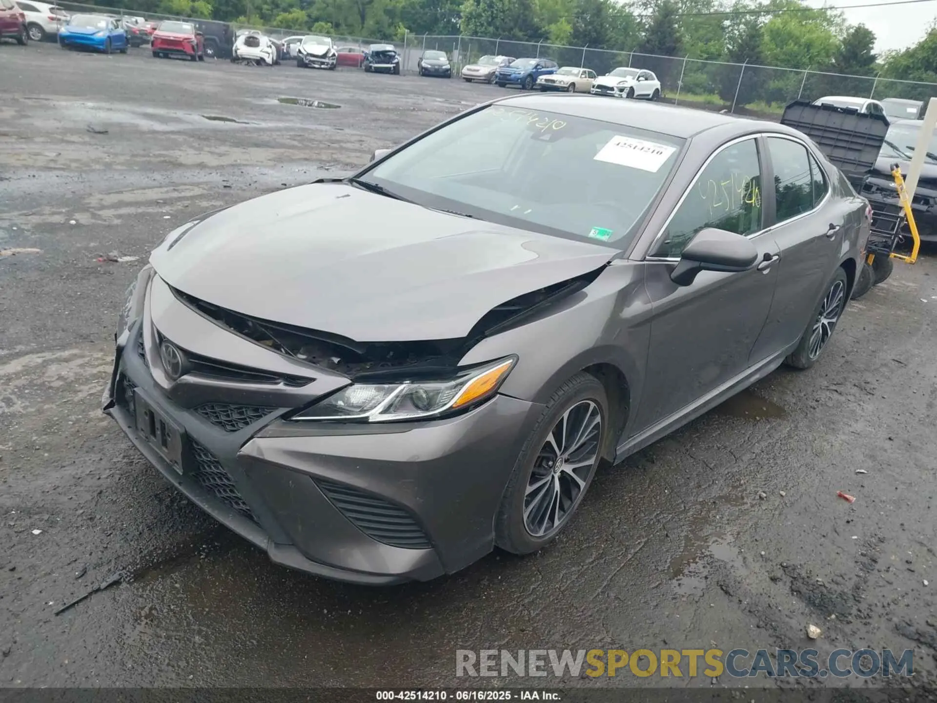 2 fotografías del automóvil dañado 4T1B11HKXKU235174 TOYOTA CAMRY 2019